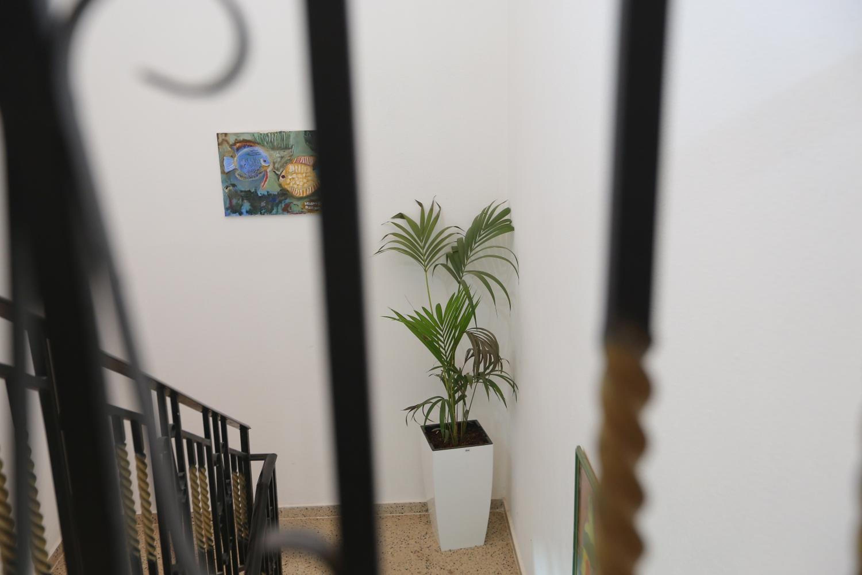 Apartment Celaj Velipoje