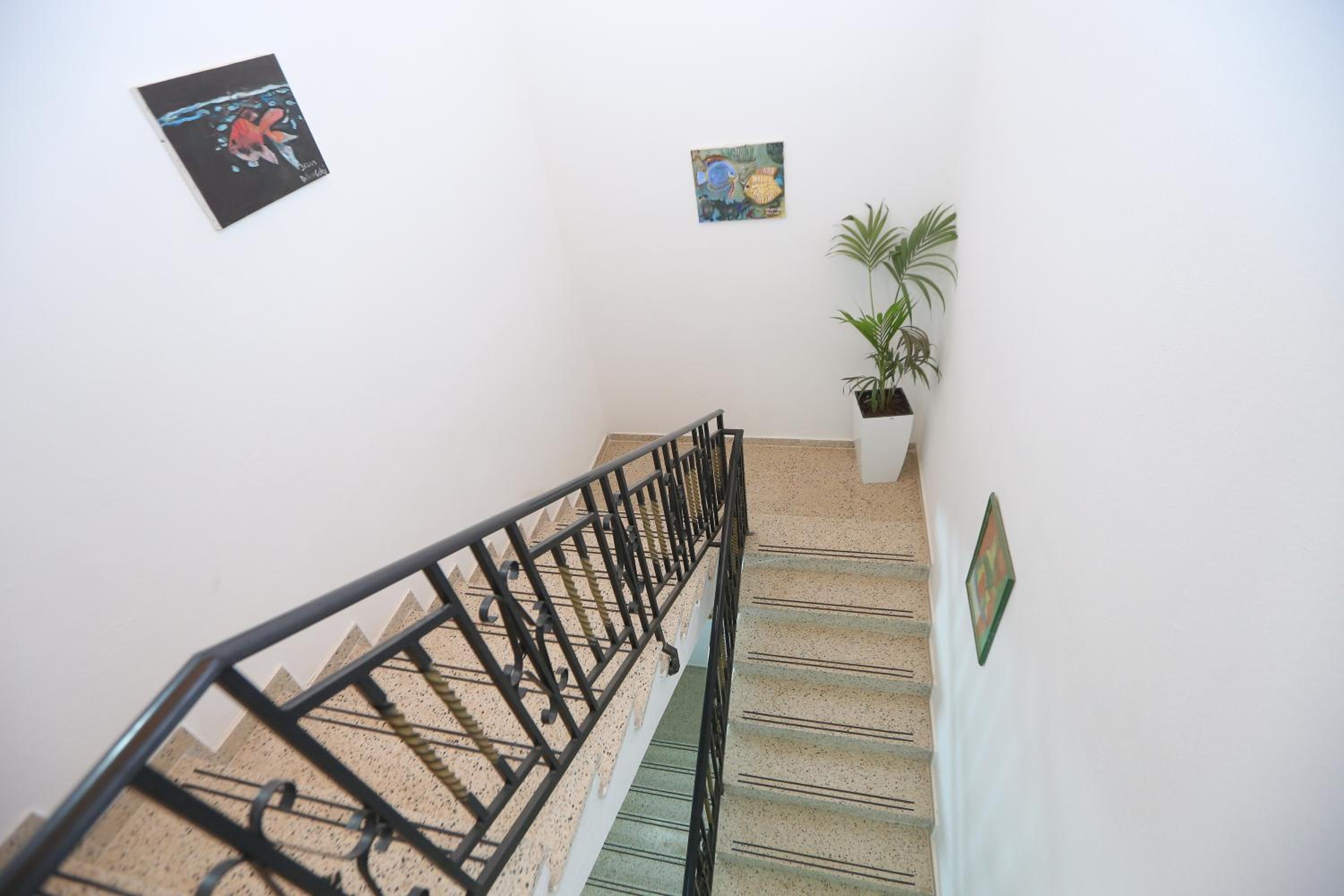 Apartment Celaj Velipoje