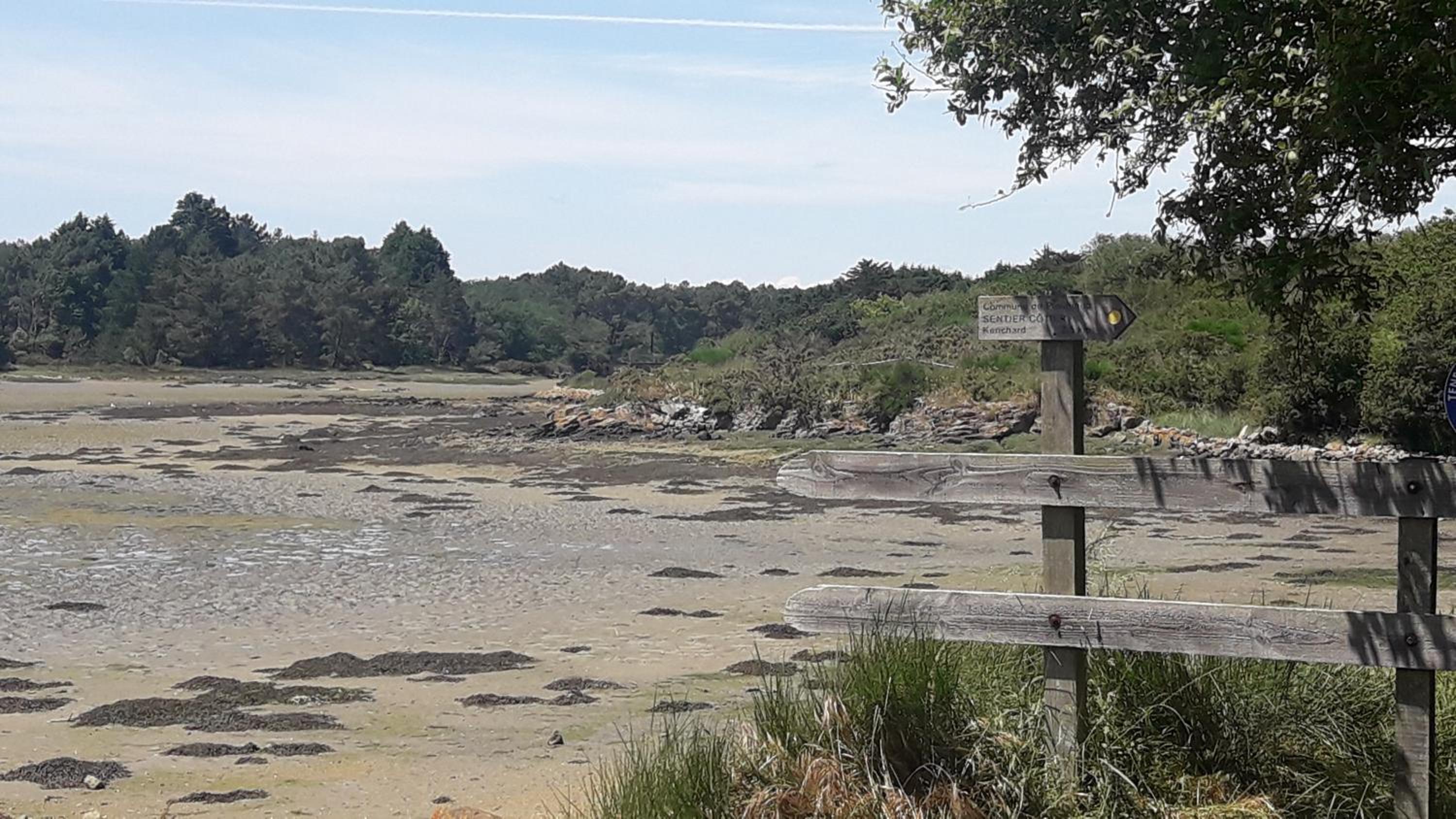 Back To Breizh