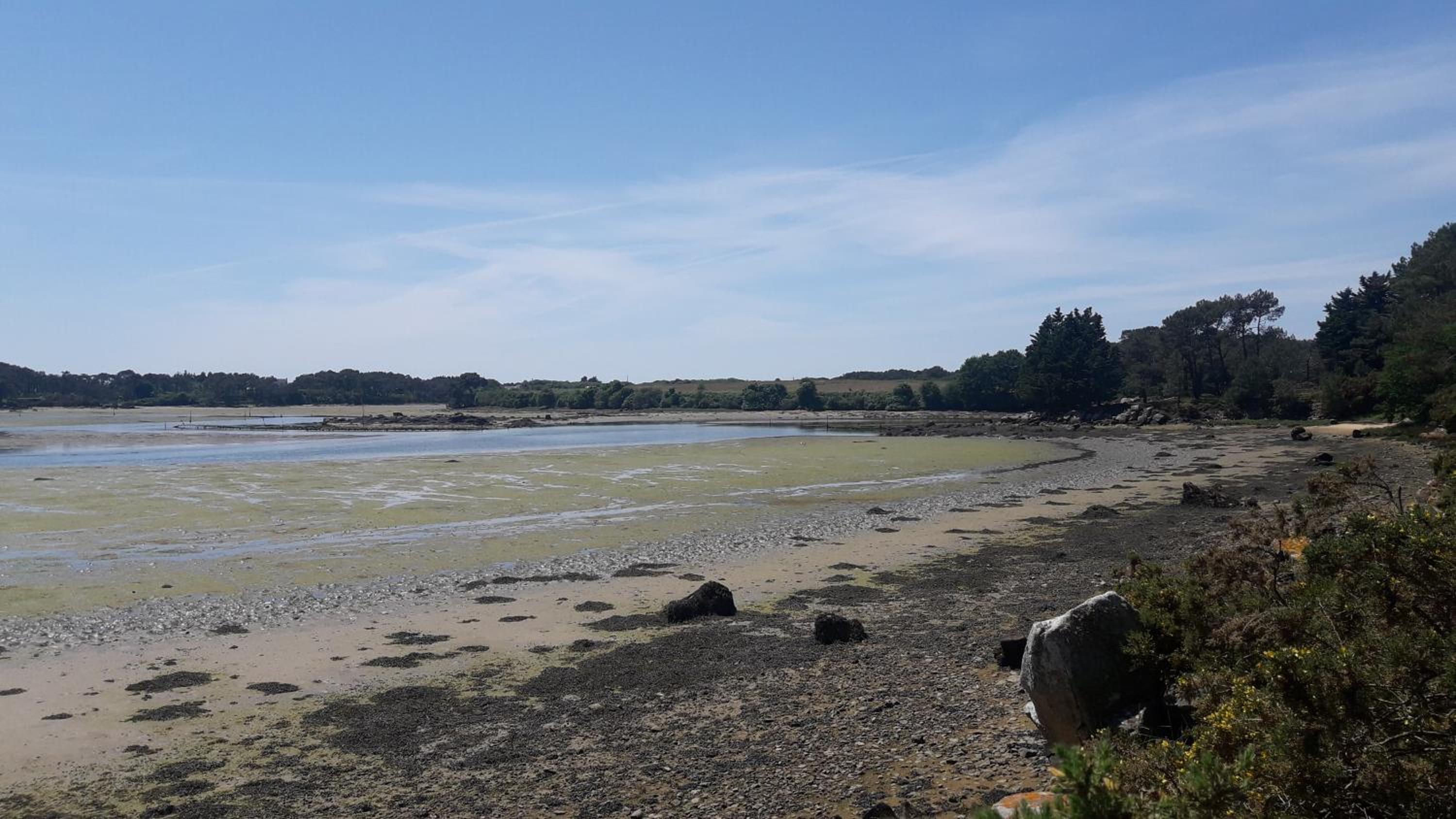 Back To Breizh