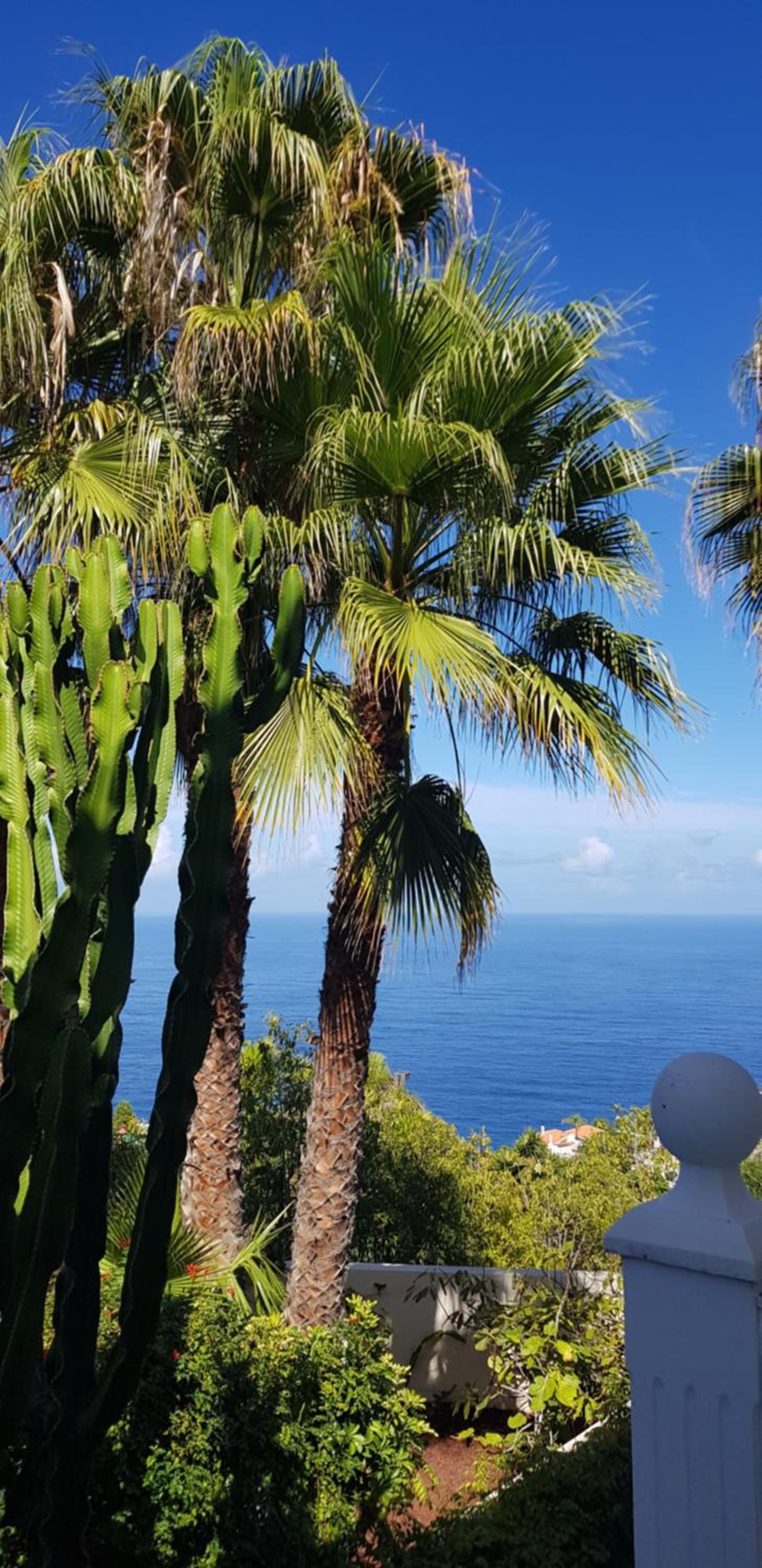Villa Larnia de Tenerife