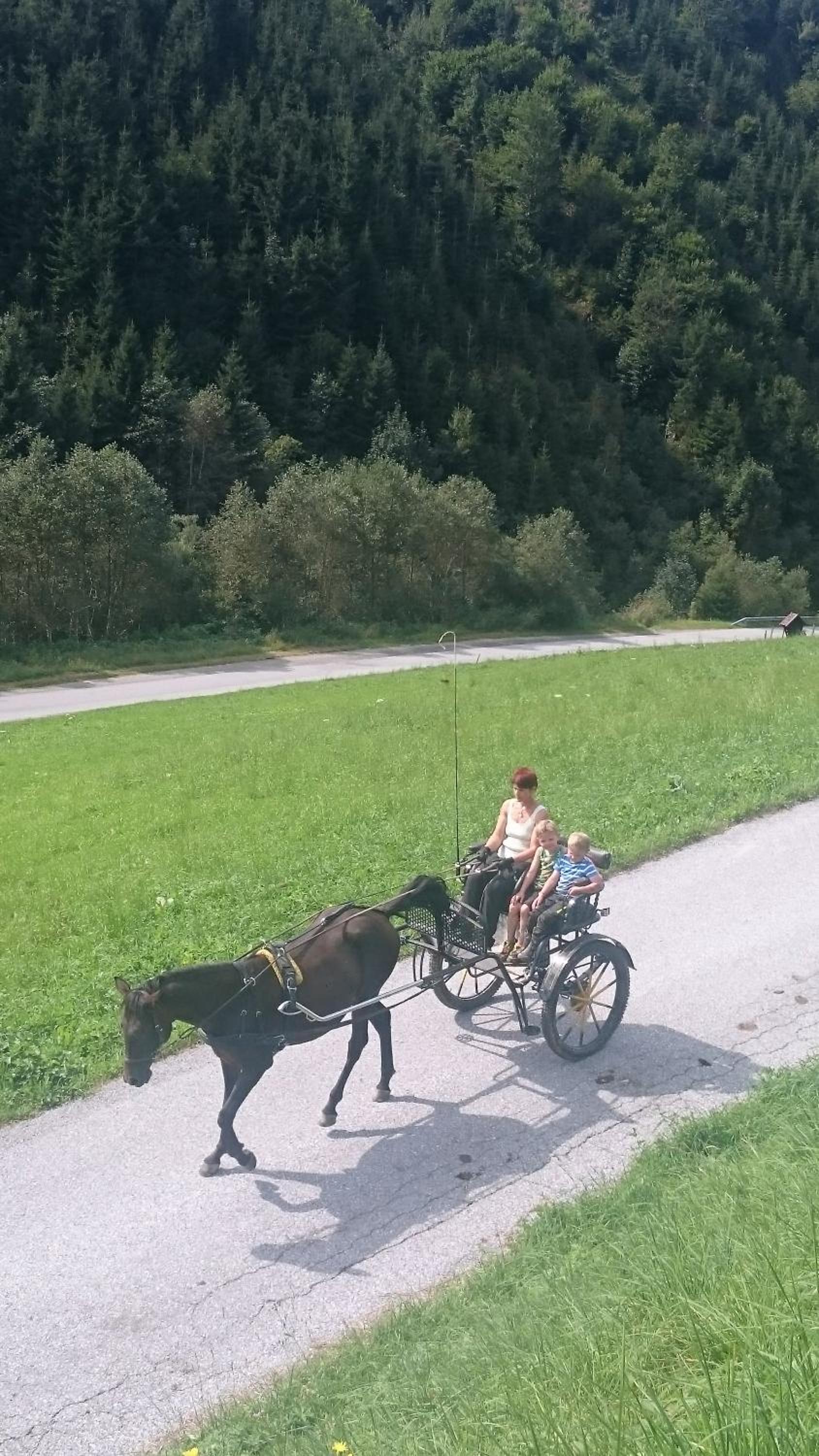 Ascherhof