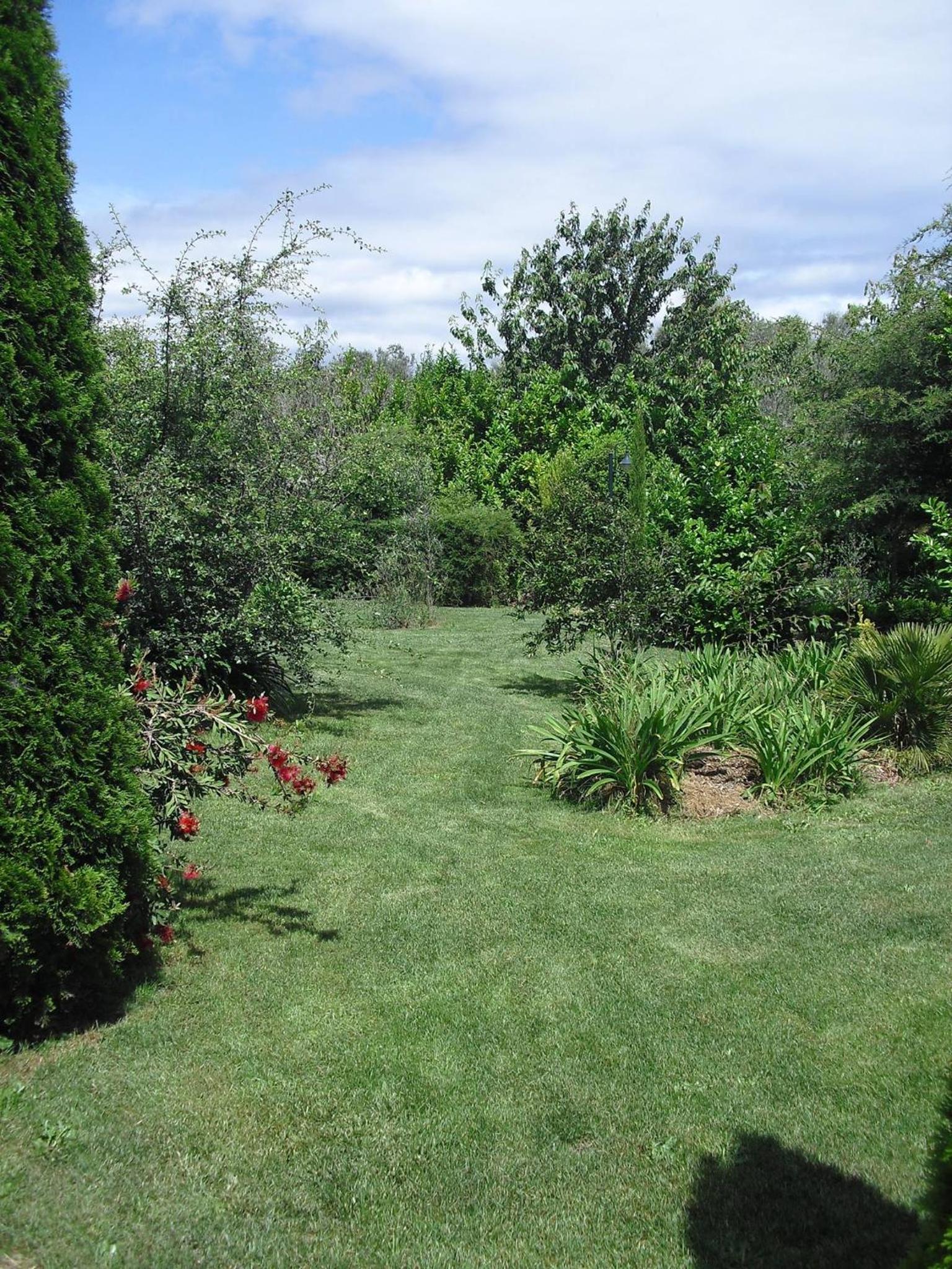 Photo 43