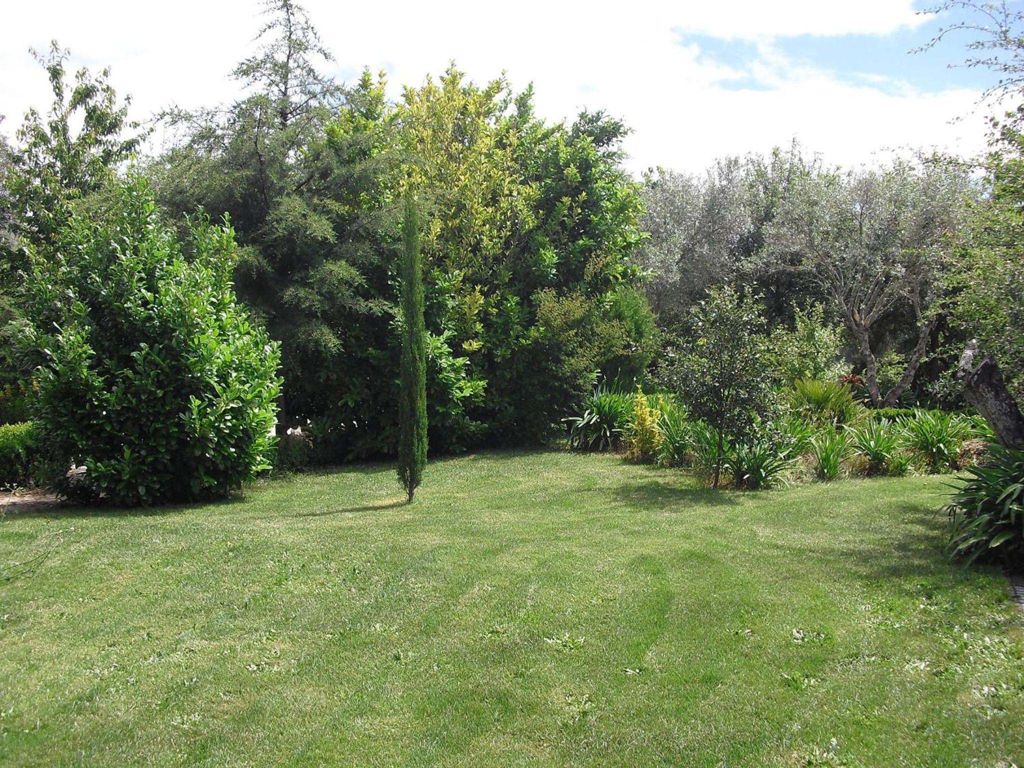 Photo 46