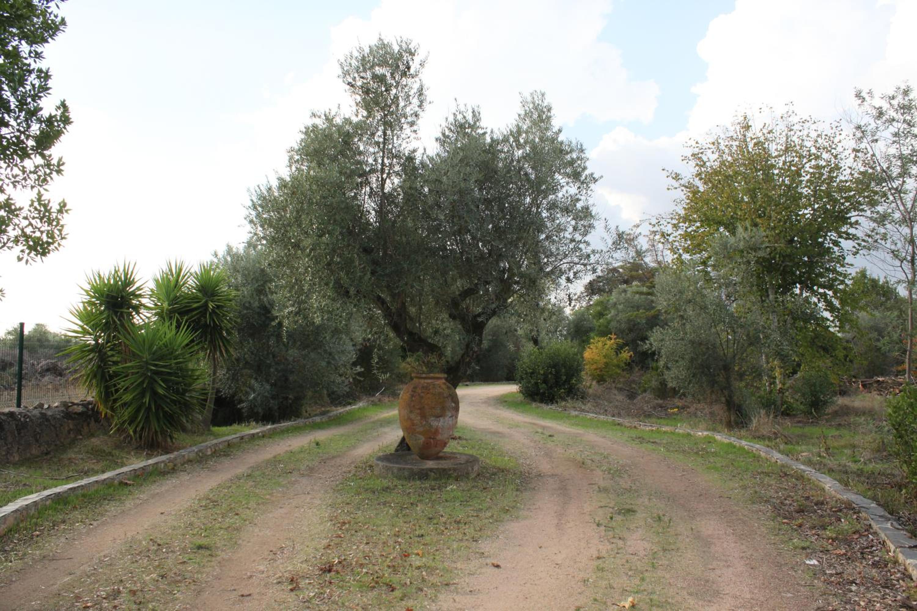 Photo 36
