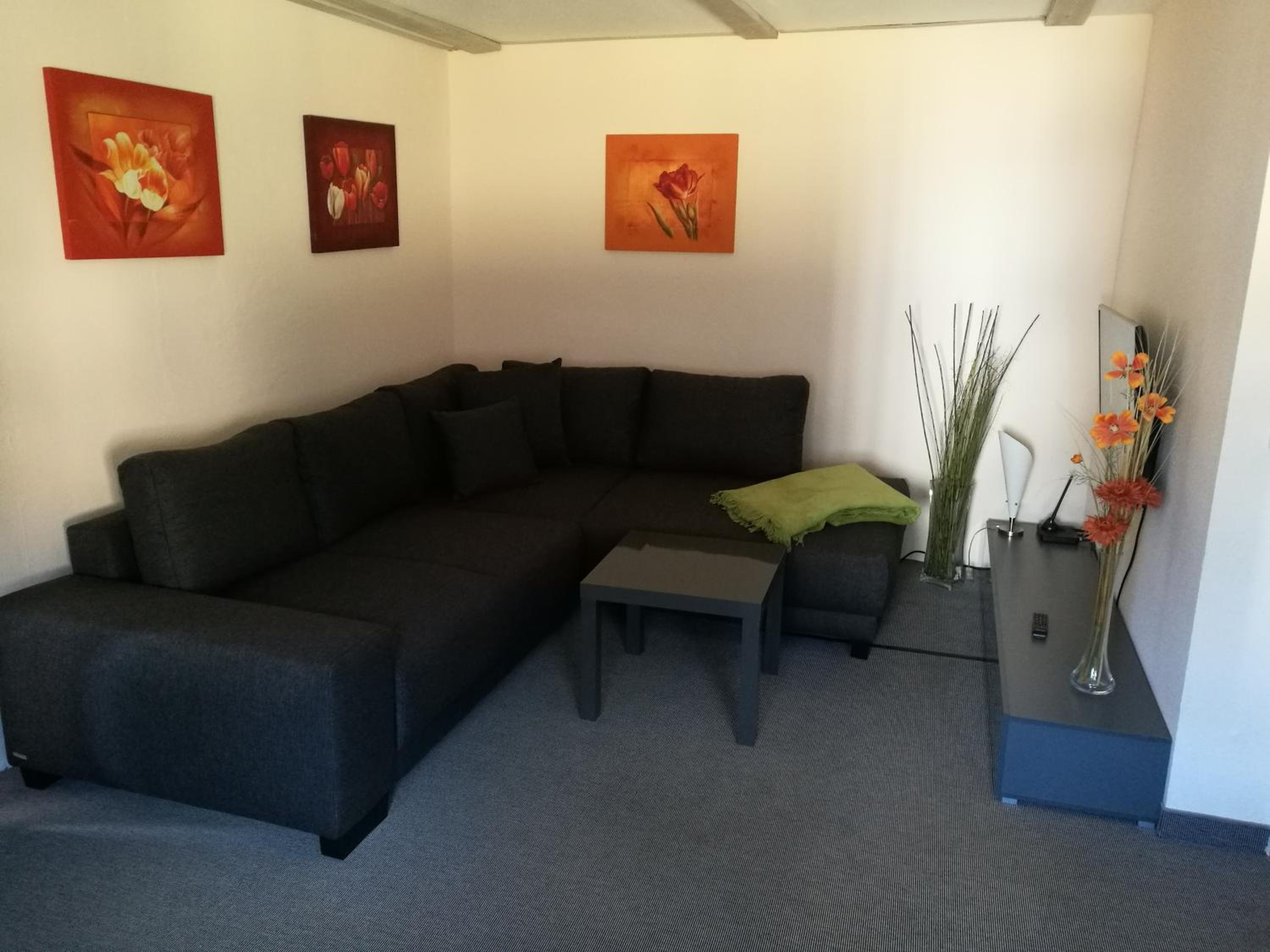 Elbhangzimmer Dresden