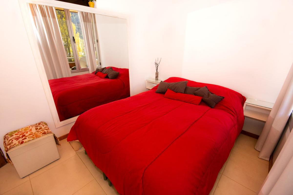 Departamento céntrico San Martín de los Andes
