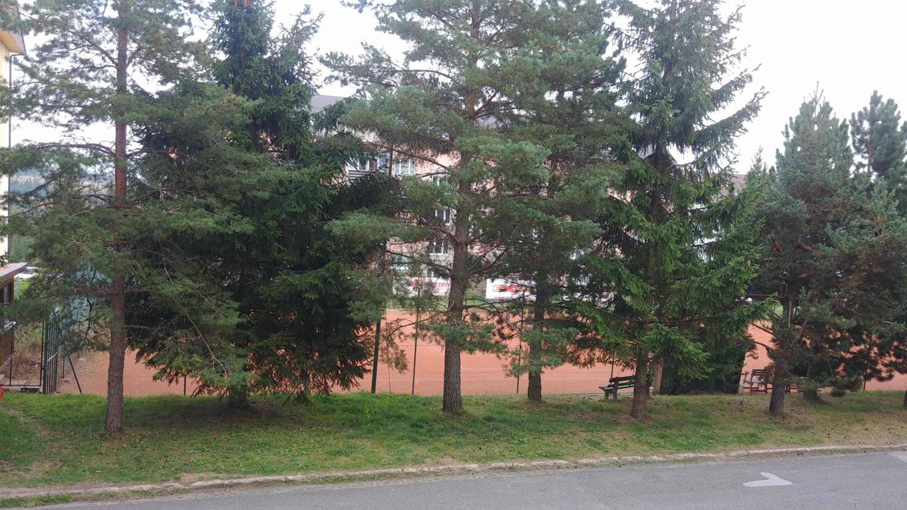Photo 39
