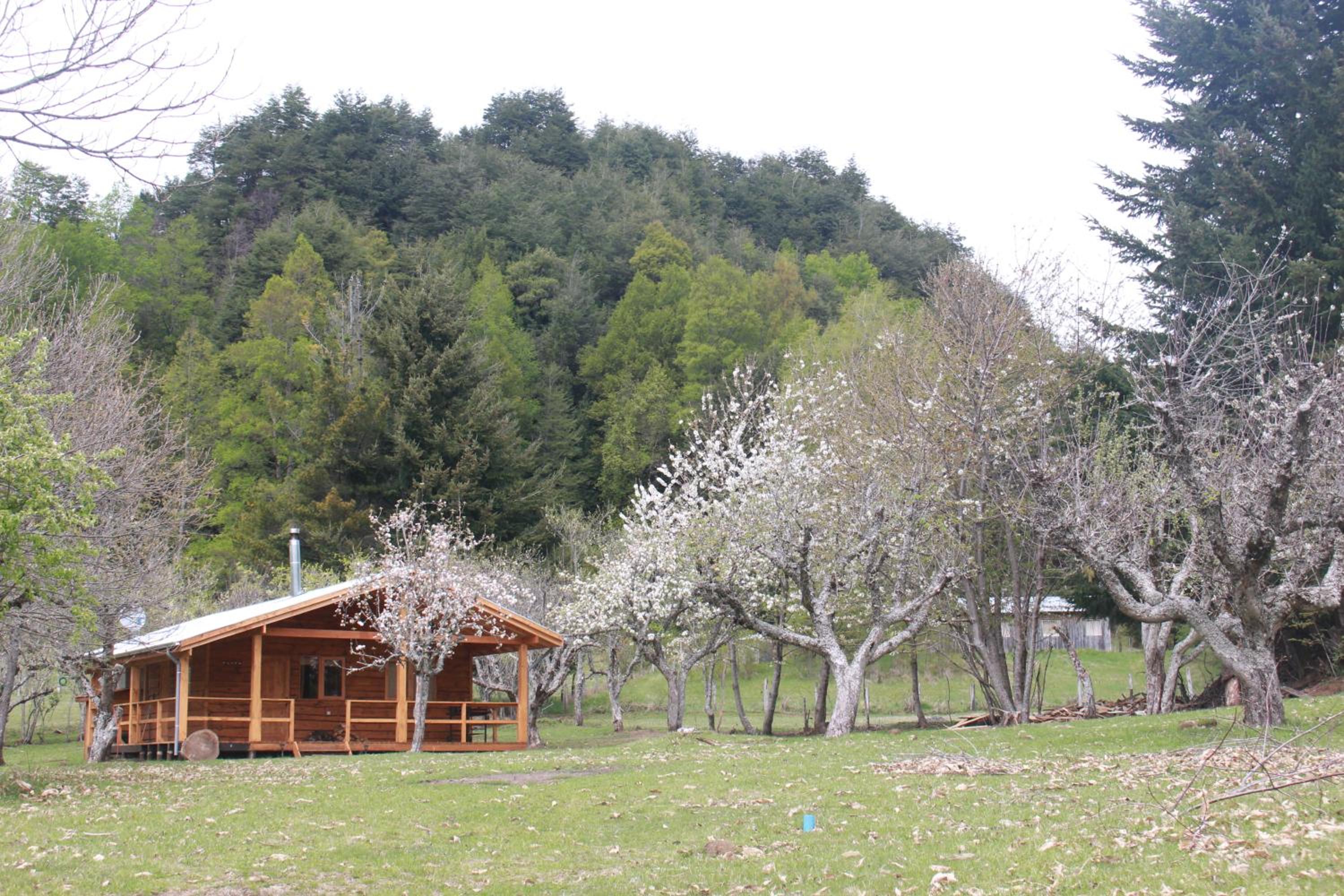 Photo 46