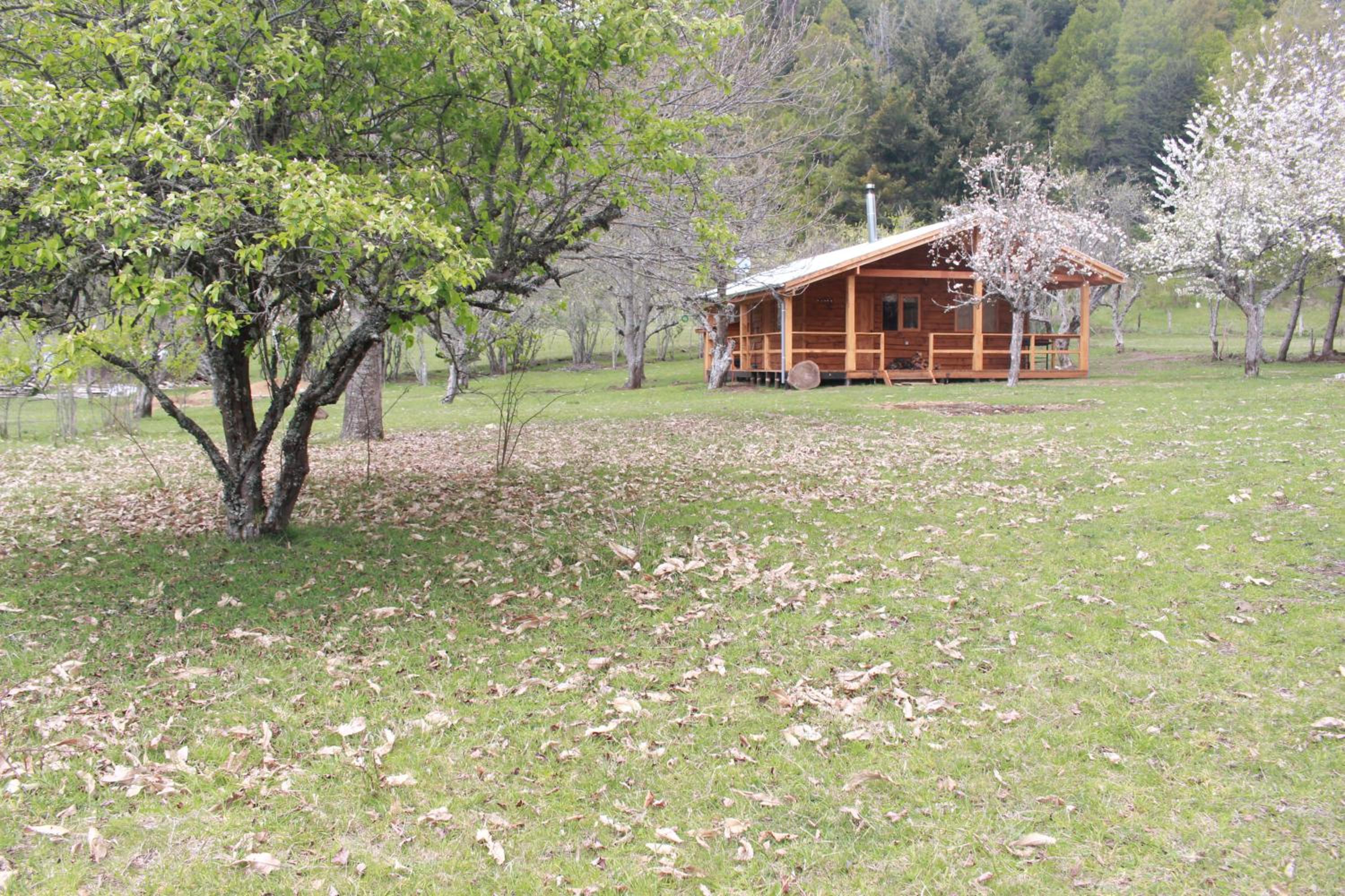 Photo 47