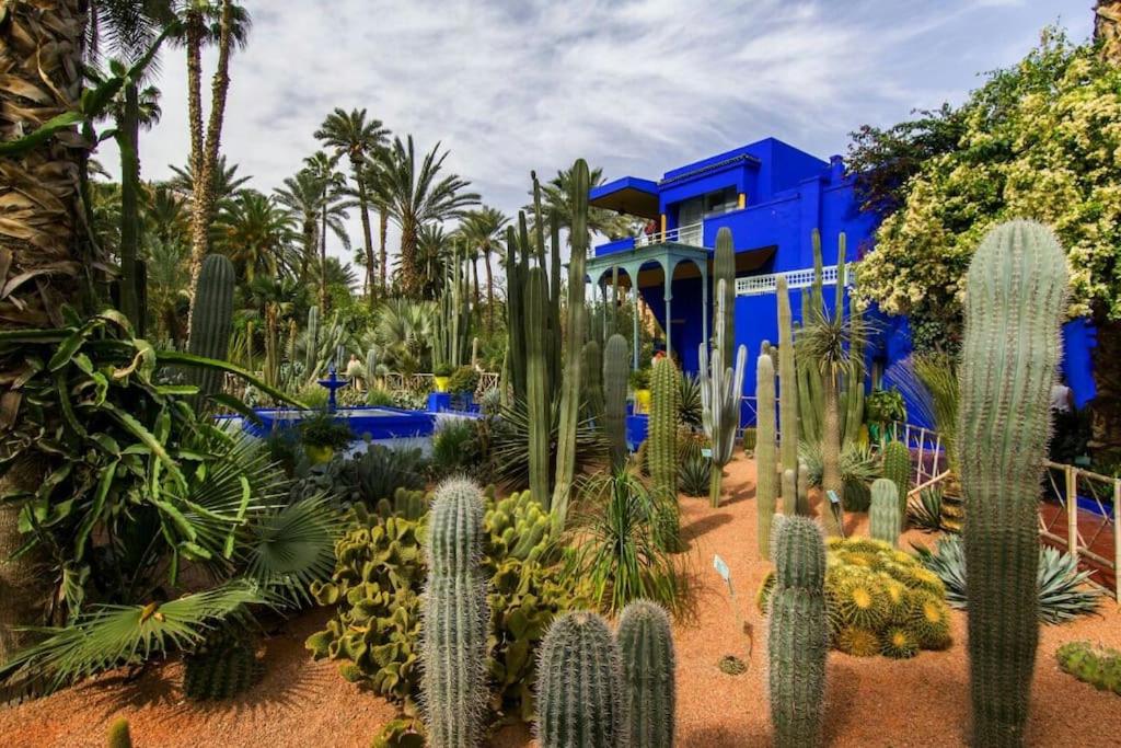 Elegant Gueliz Retreat near Majorelle view 3