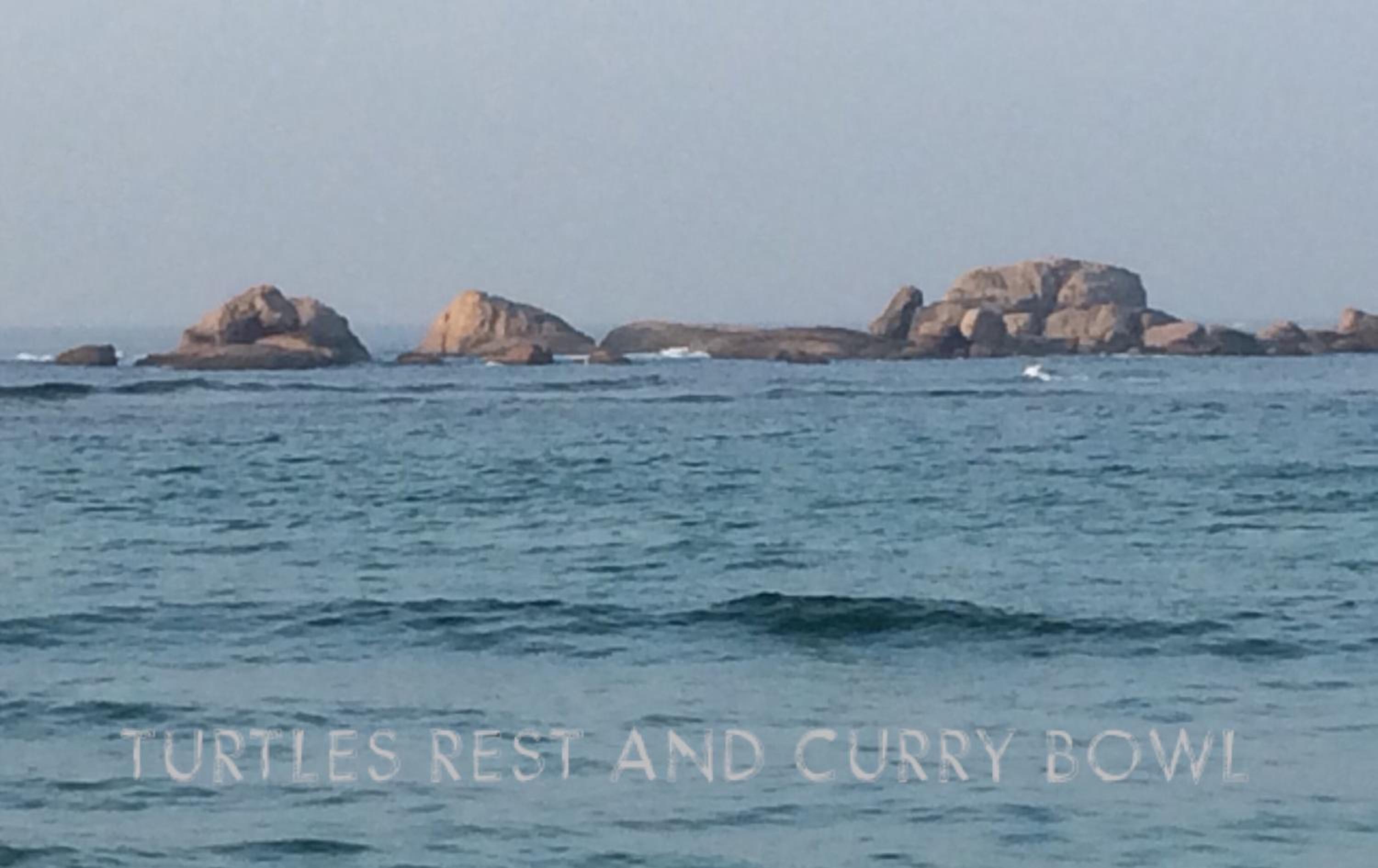 Curry Bowl Restaurant & Turtles Rest