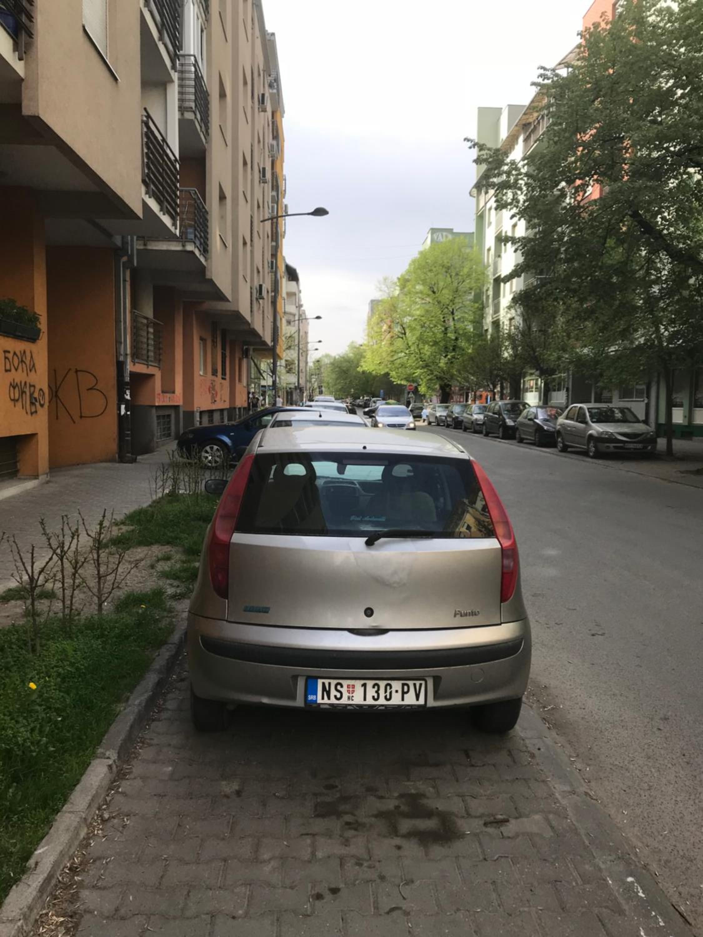 Photo 15