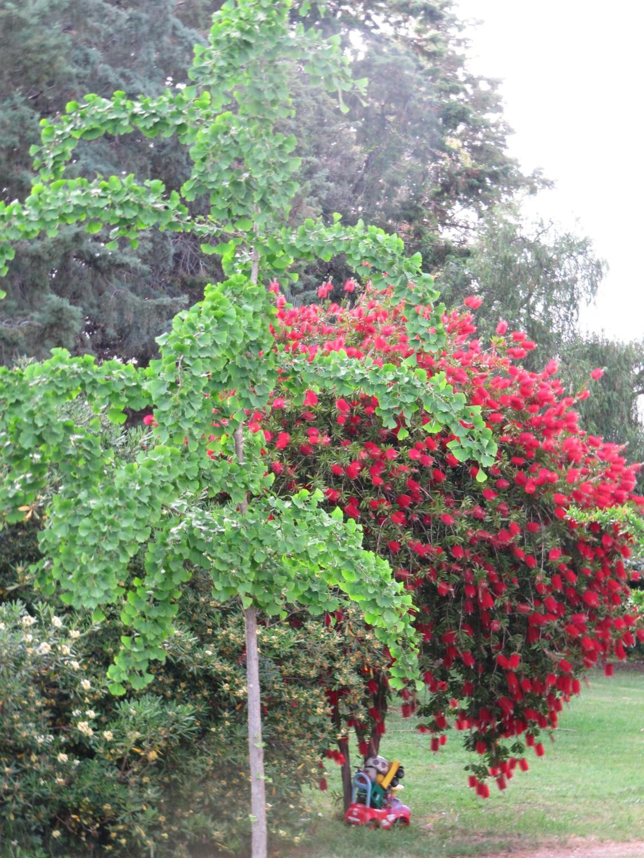 Photo 14