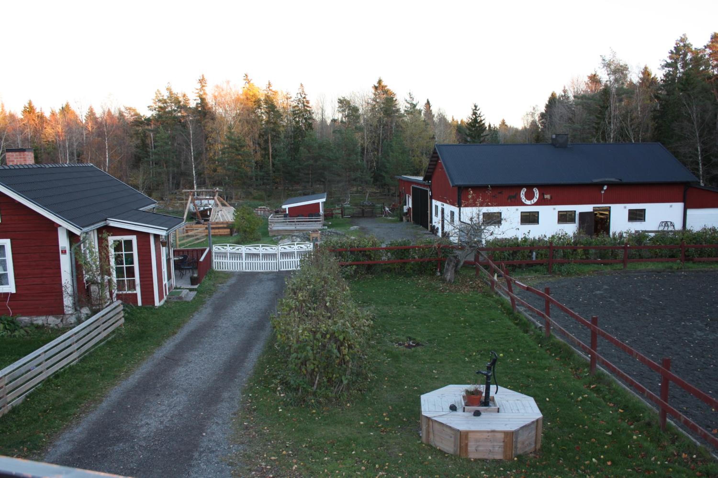 Photo 44