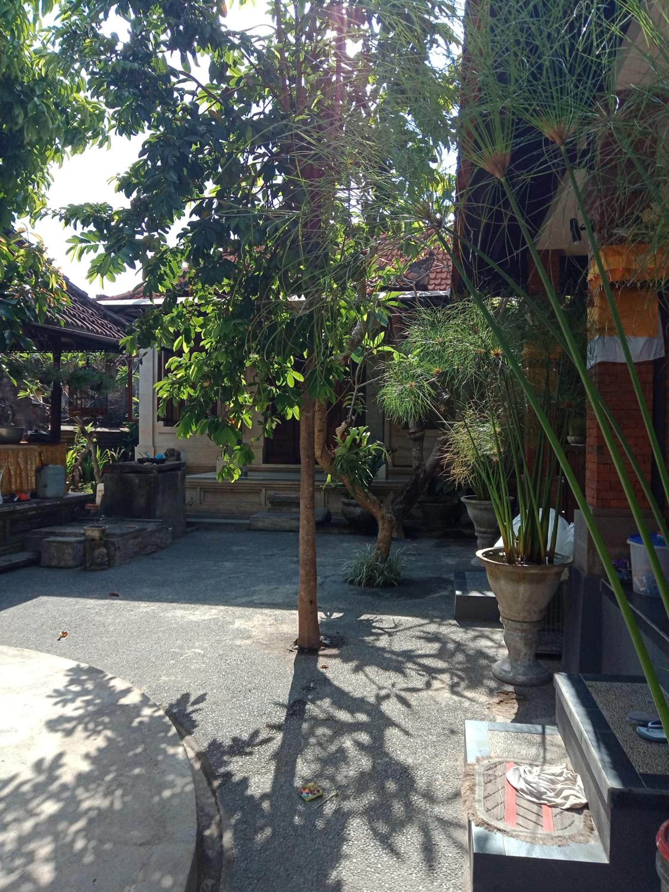 Photo 49