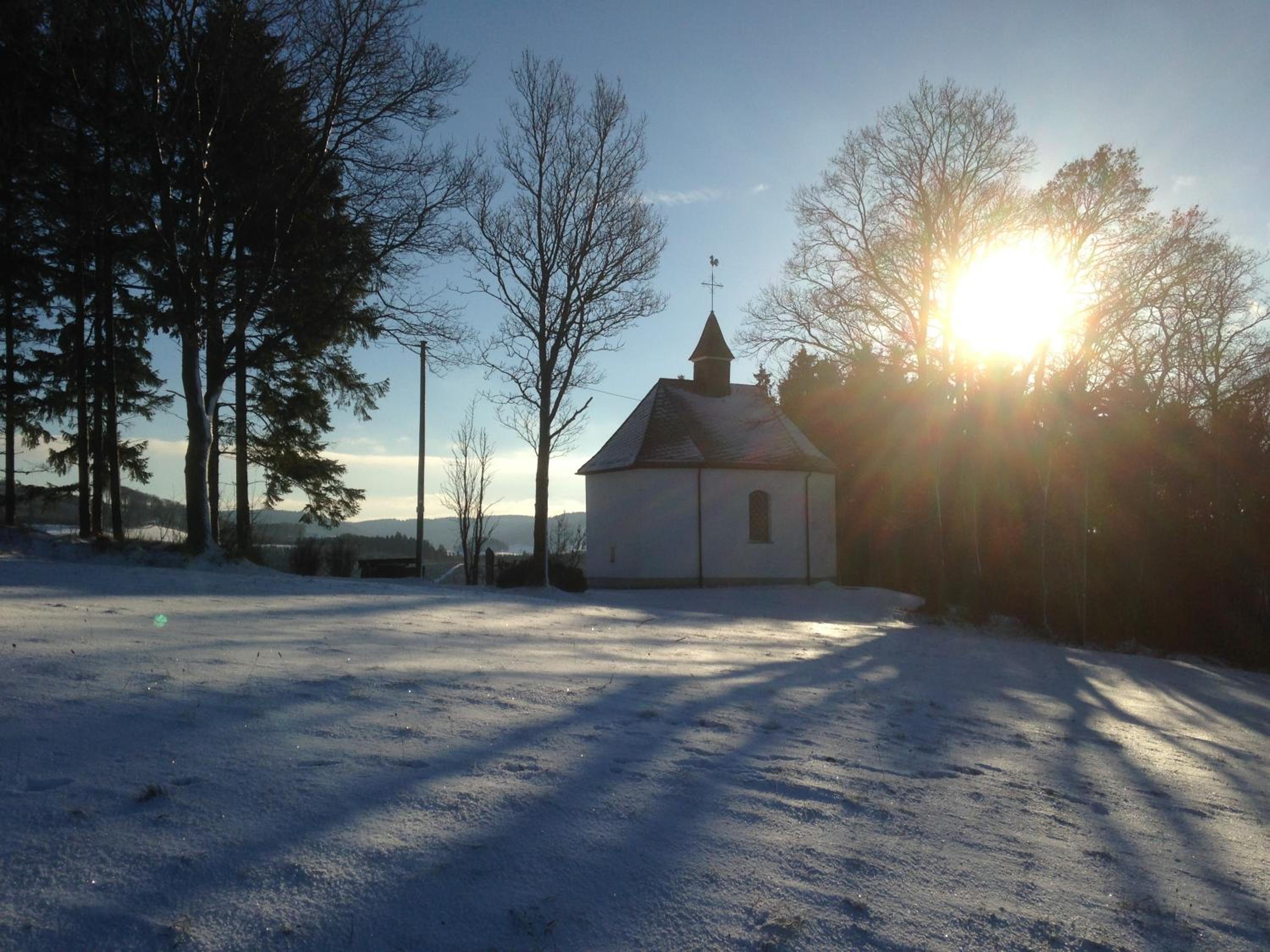 Photo 16