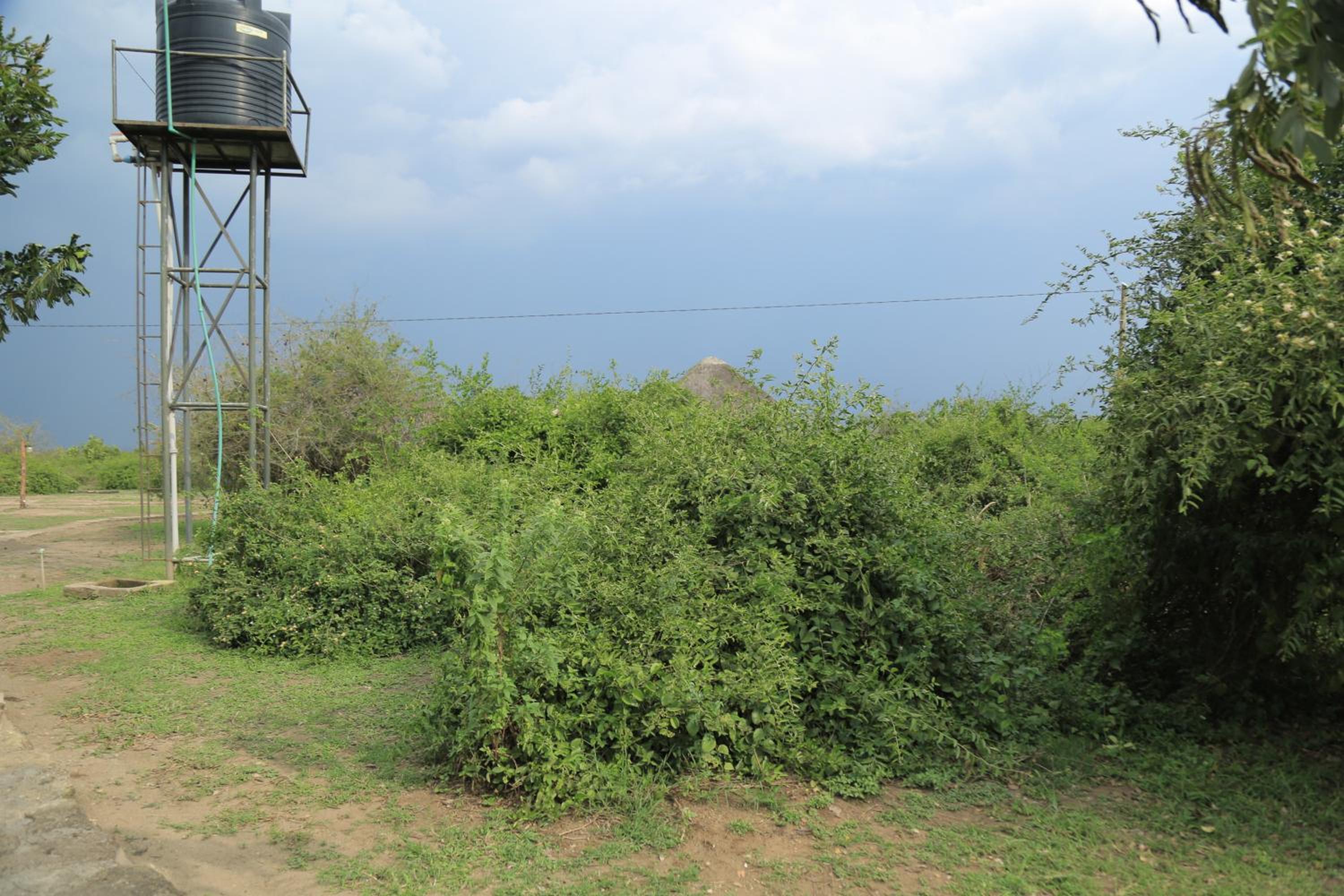 Engiri Game Lodge and Campsite