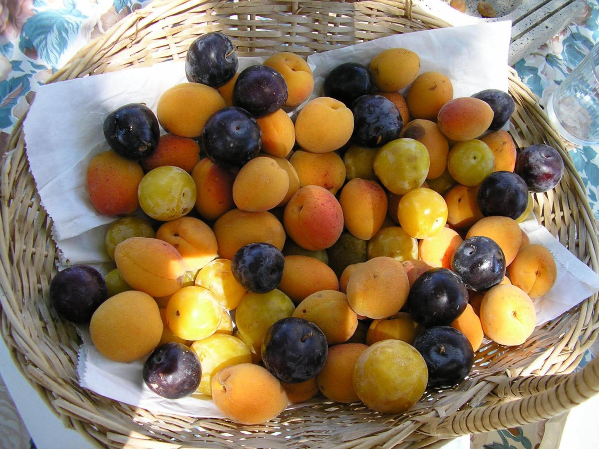 Photo 40