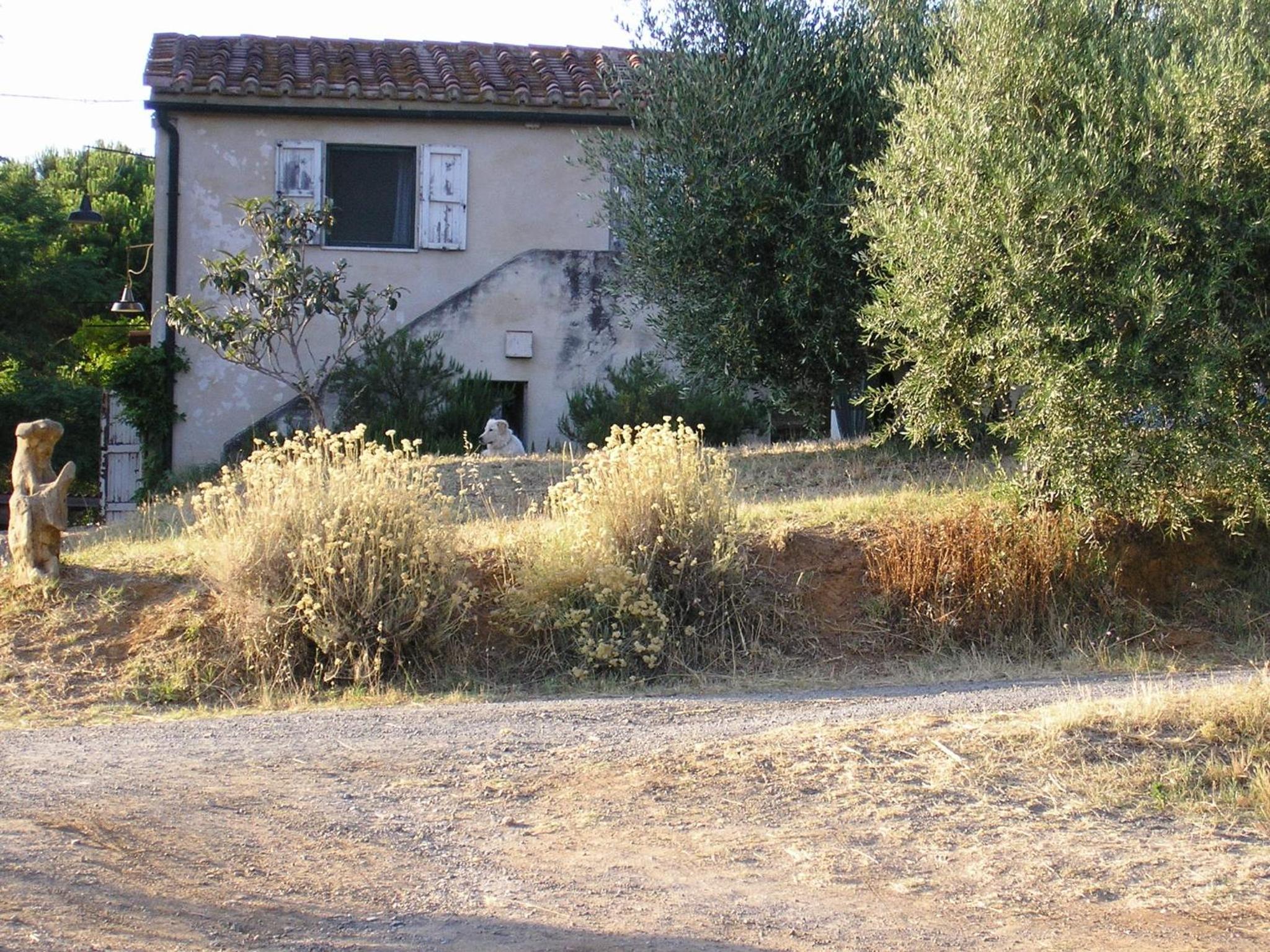 Photo 30