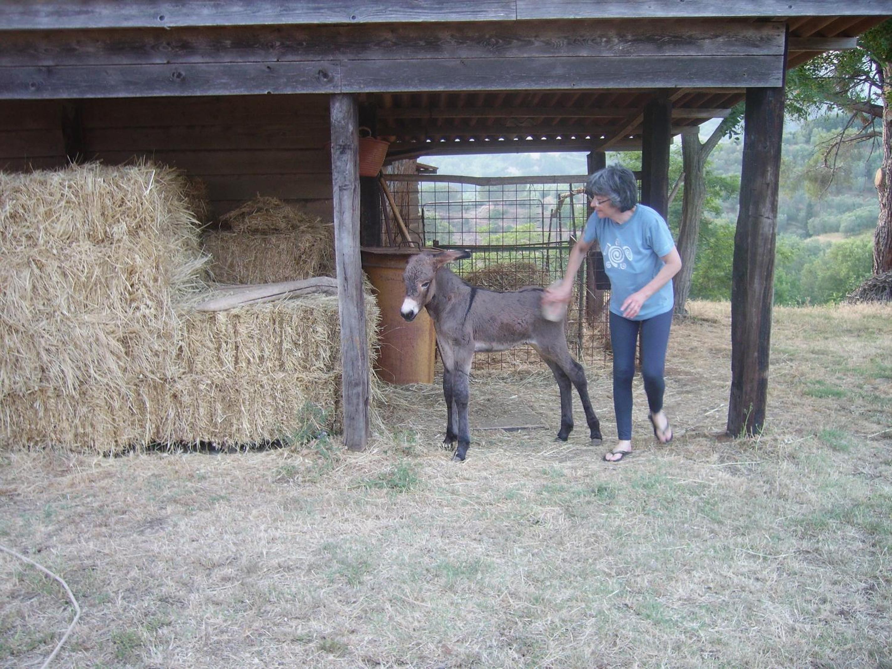 Photo 34