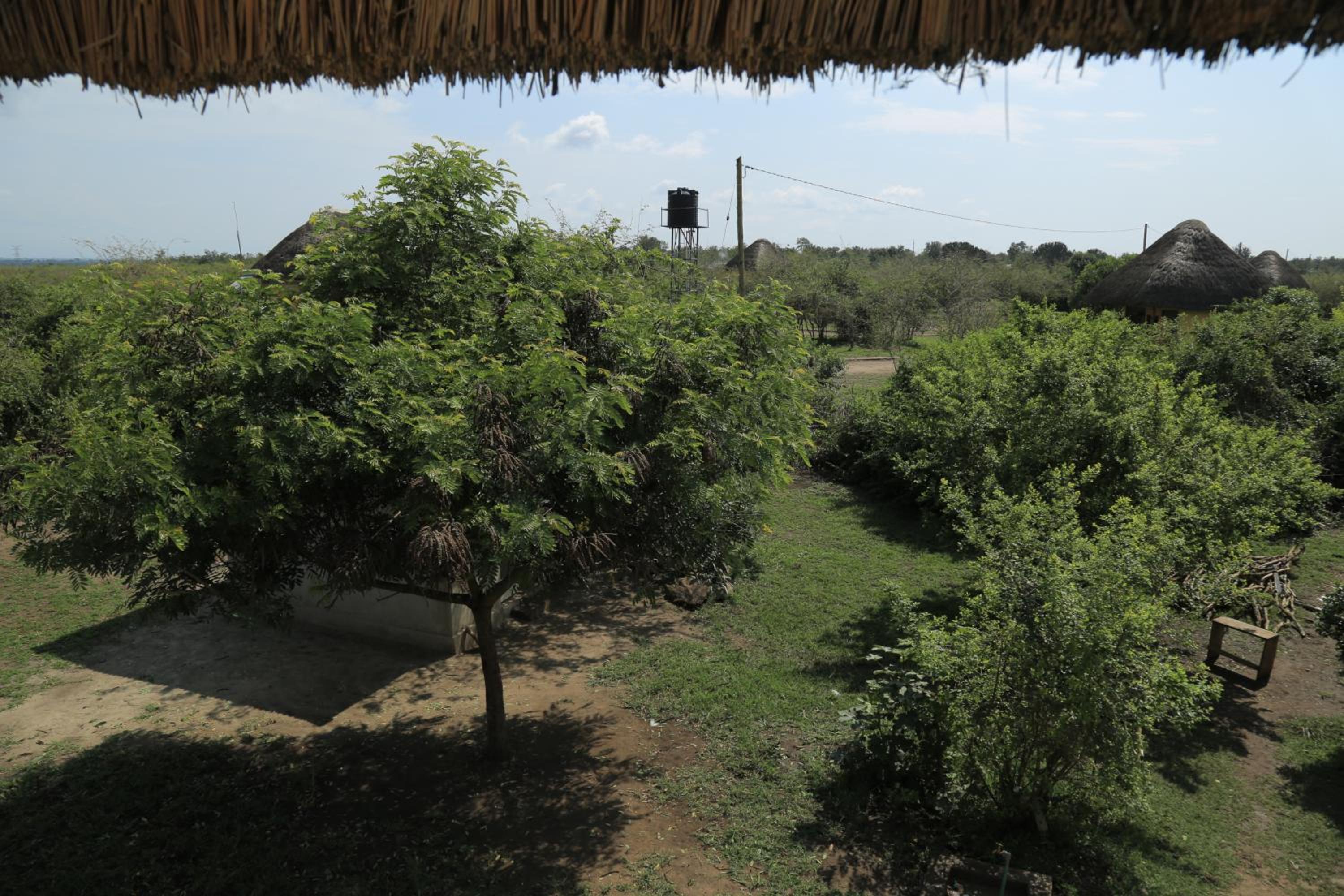 Engiri Game Lodge and Campsite