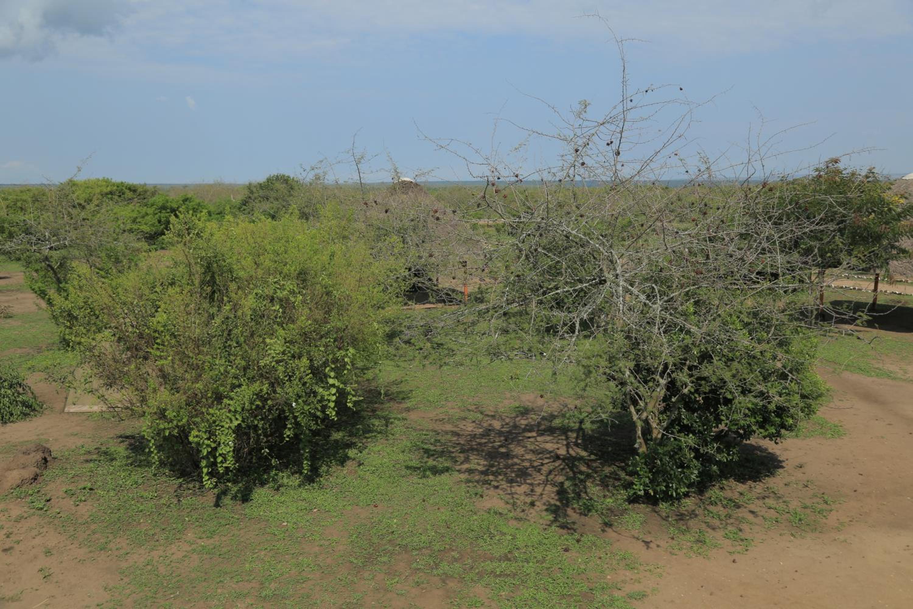 Engiri Game Lodge and Campsite
