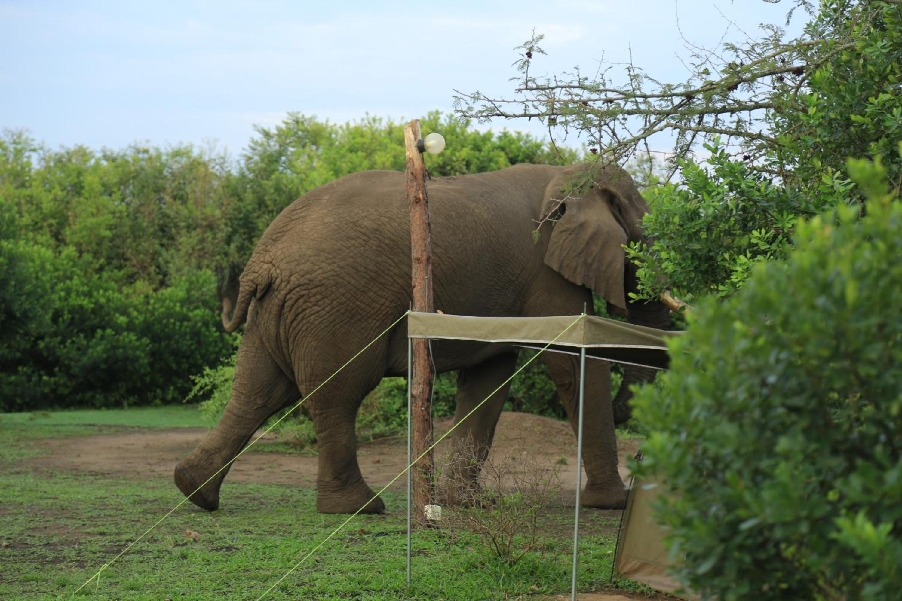 Engiri Game Lodge and Campsite