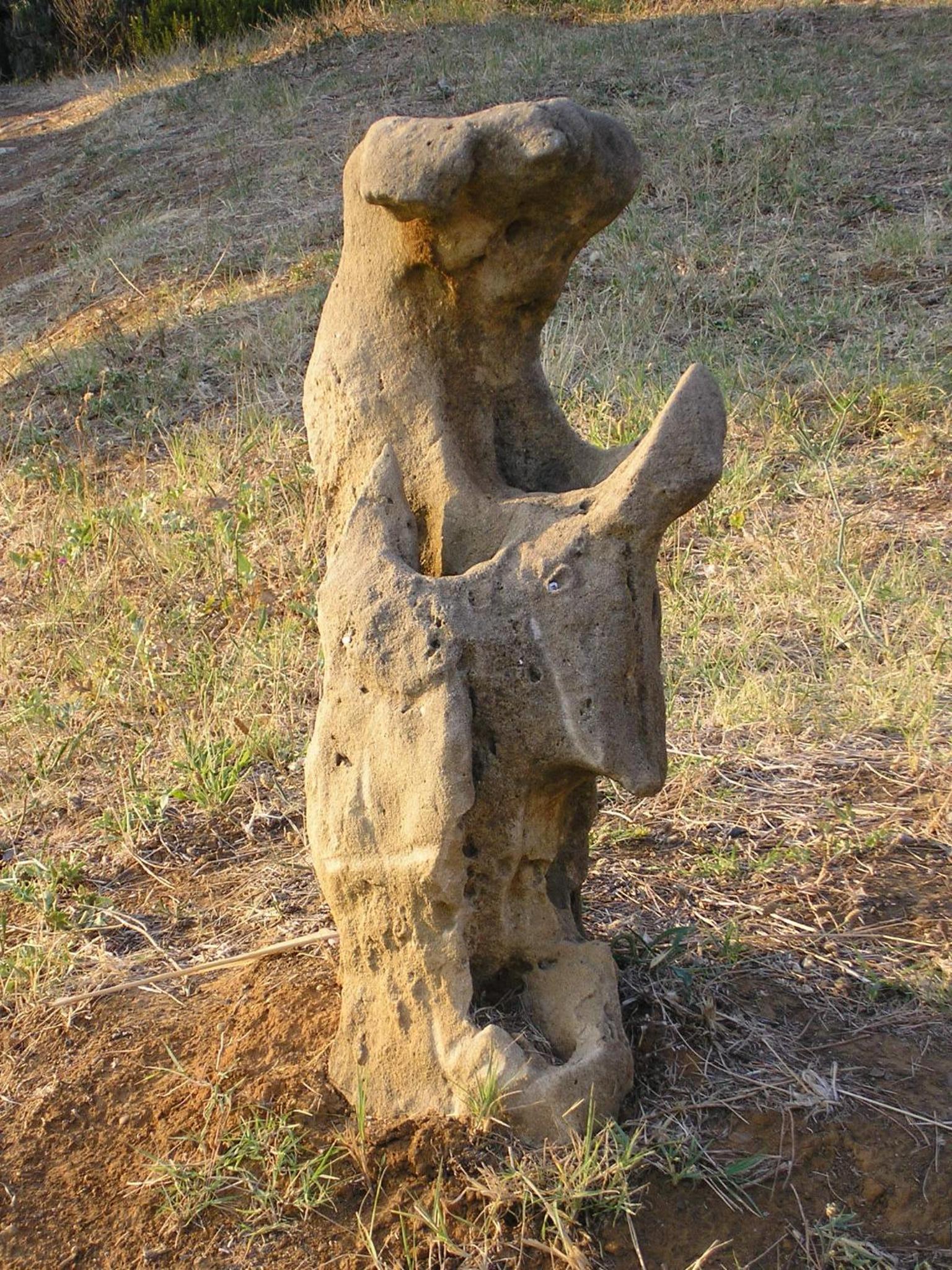 Photo 45