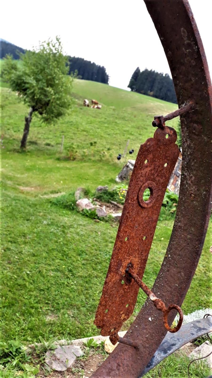 Photo 9