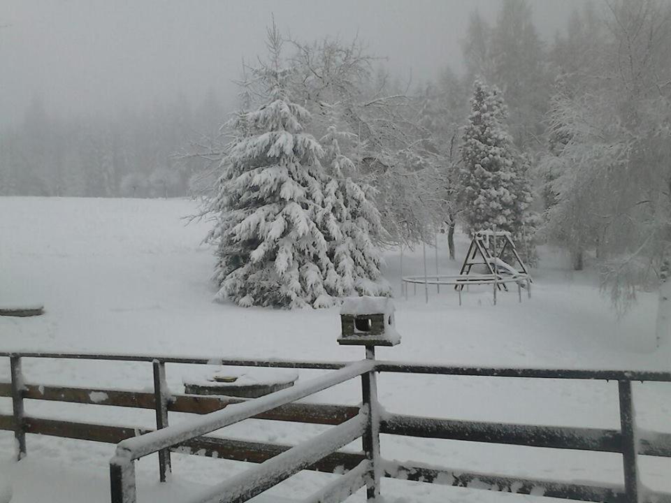 Penzion Pohlednička