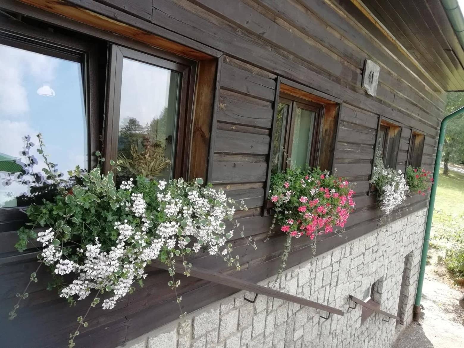 Penzion Pohlednička