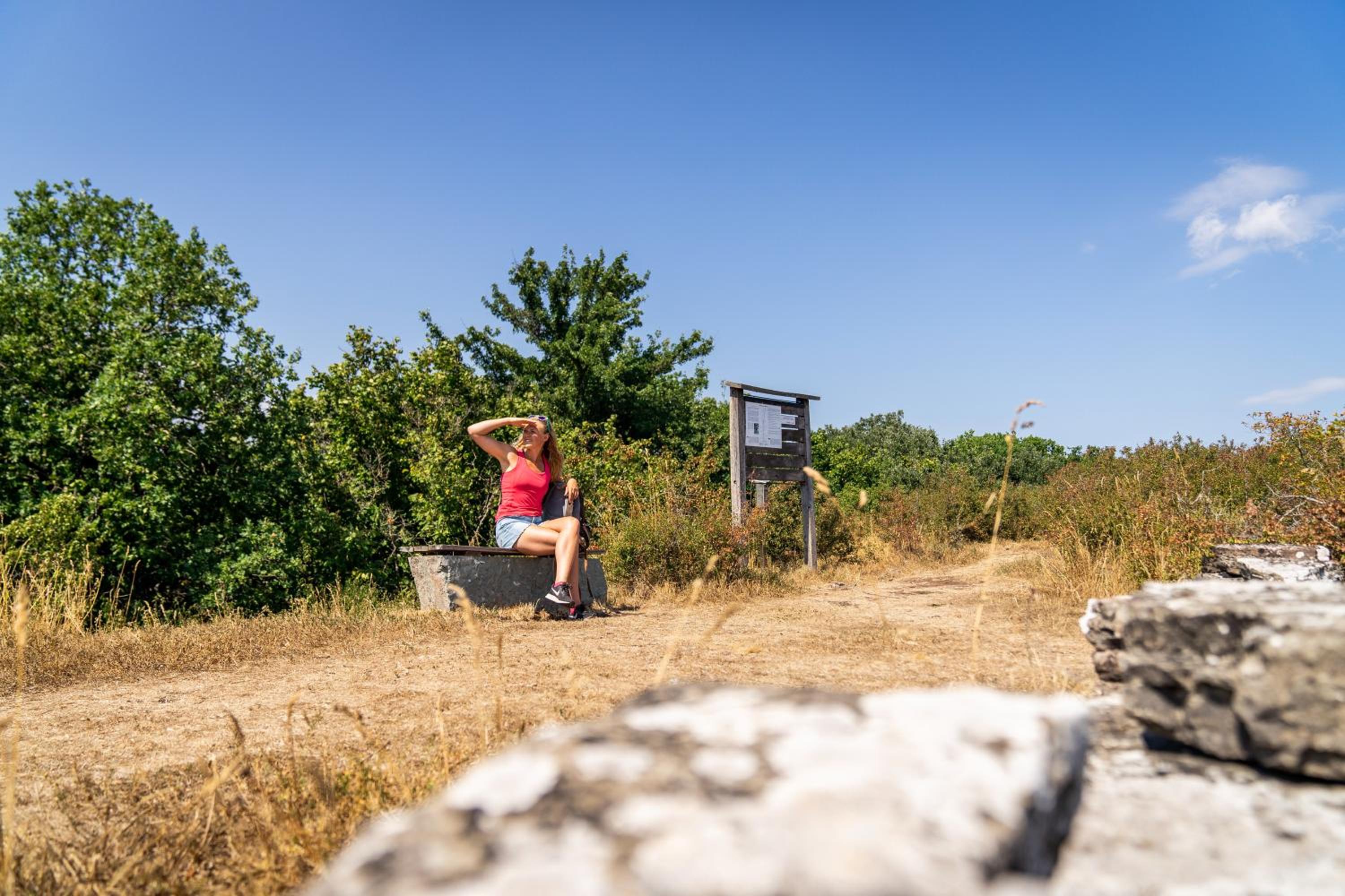 Haga Park Camping & Stugor view 3
