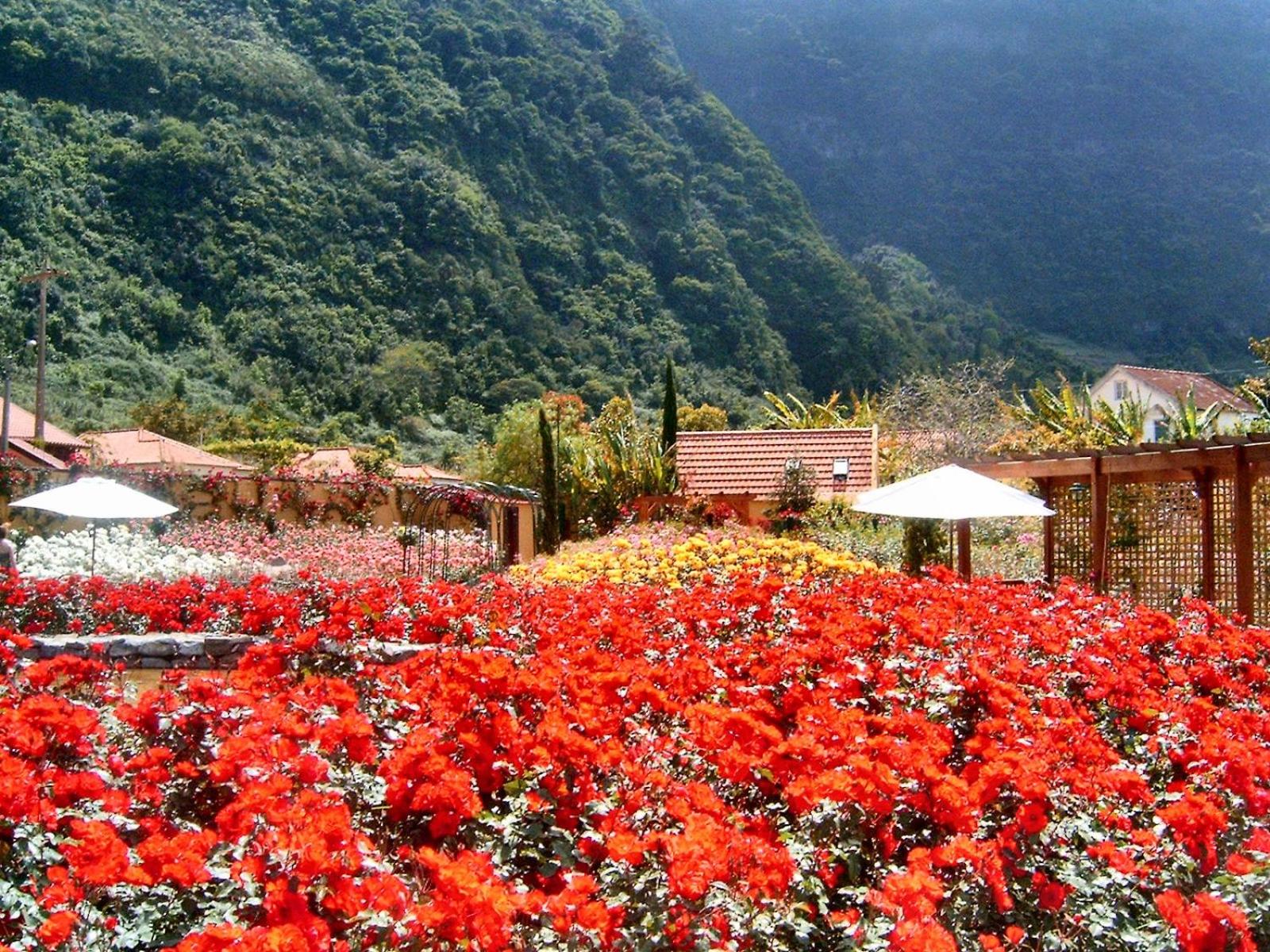 Pestana Quinta do Arco Nature & Rose Garden Hotel view 5