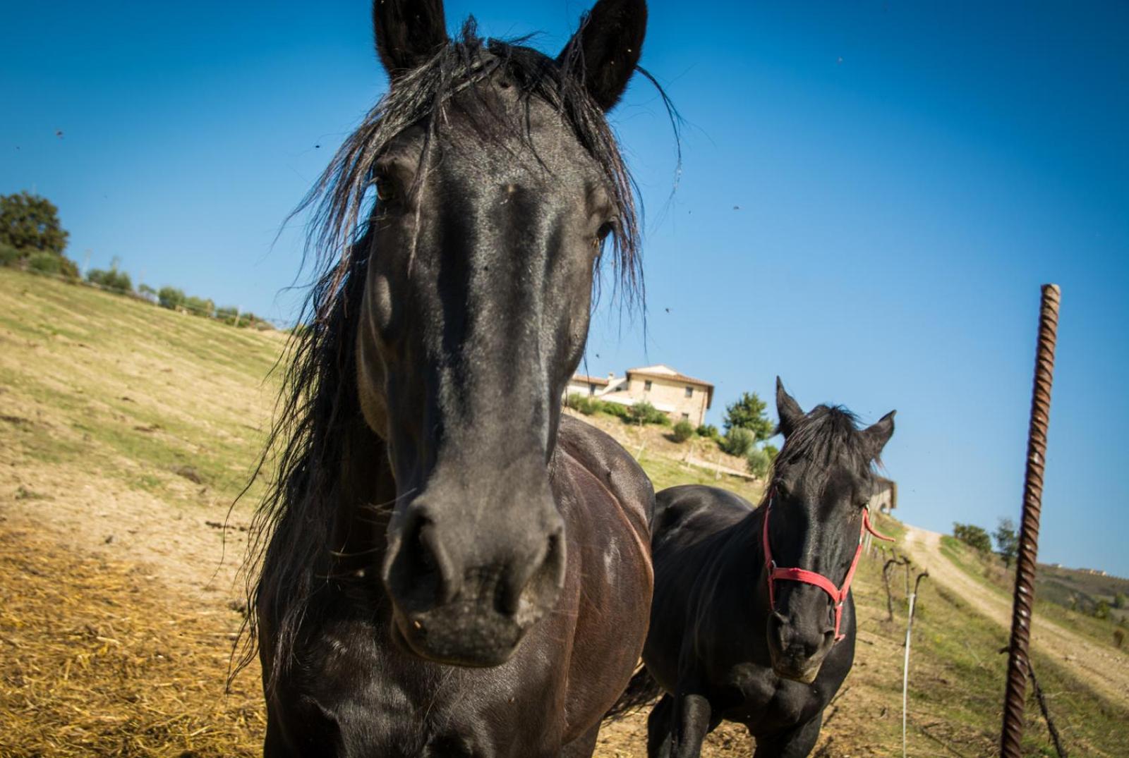 Agriturismo San Silvestro
