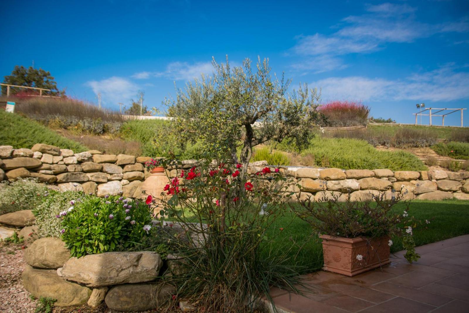 Agriturismo San Silvestro