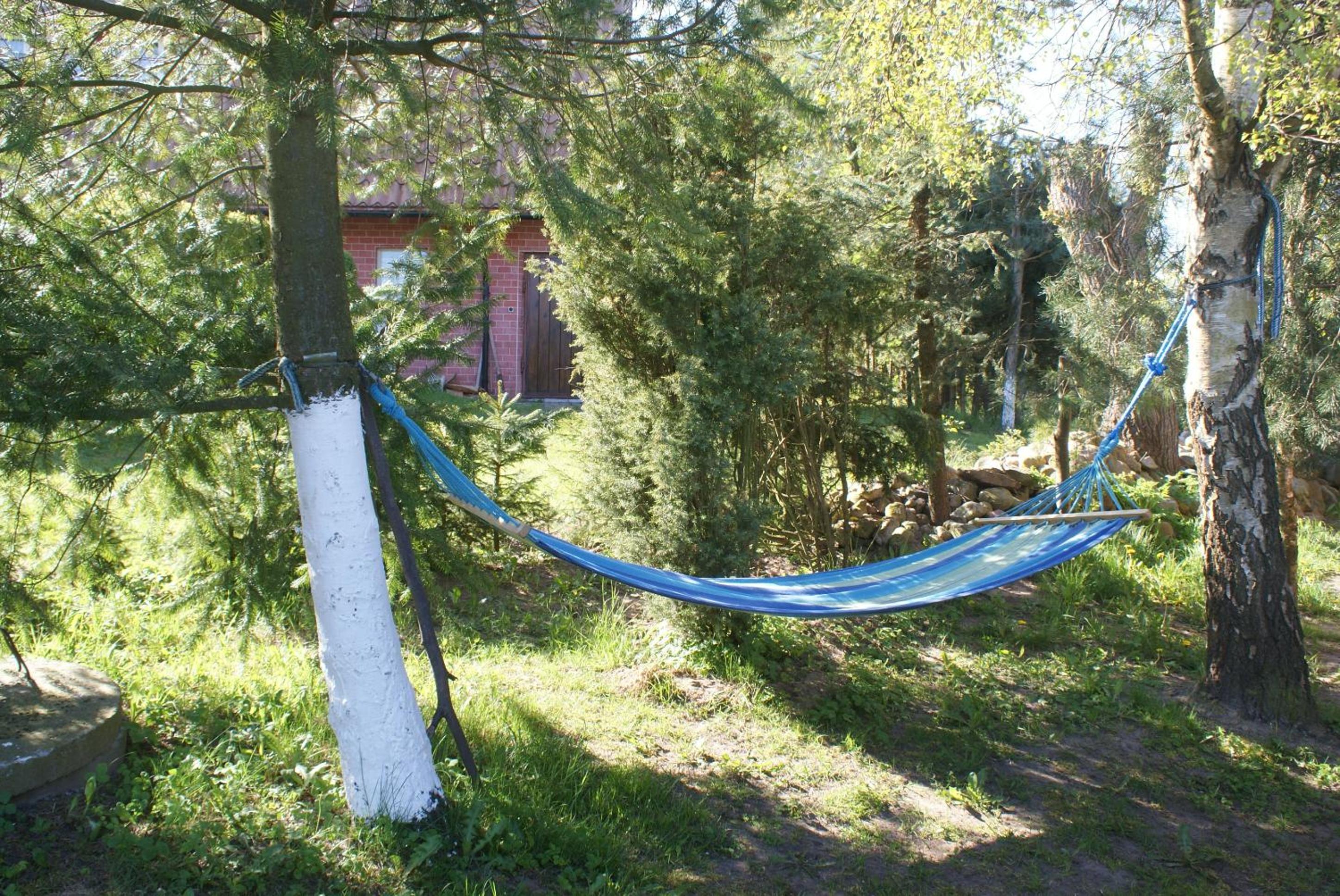 Photo 42