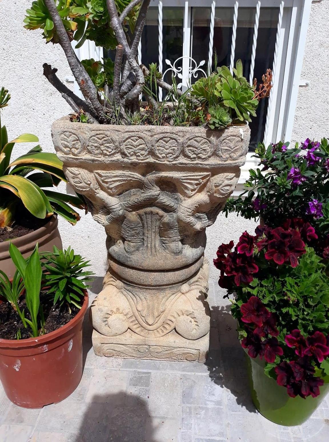 Photo 41
