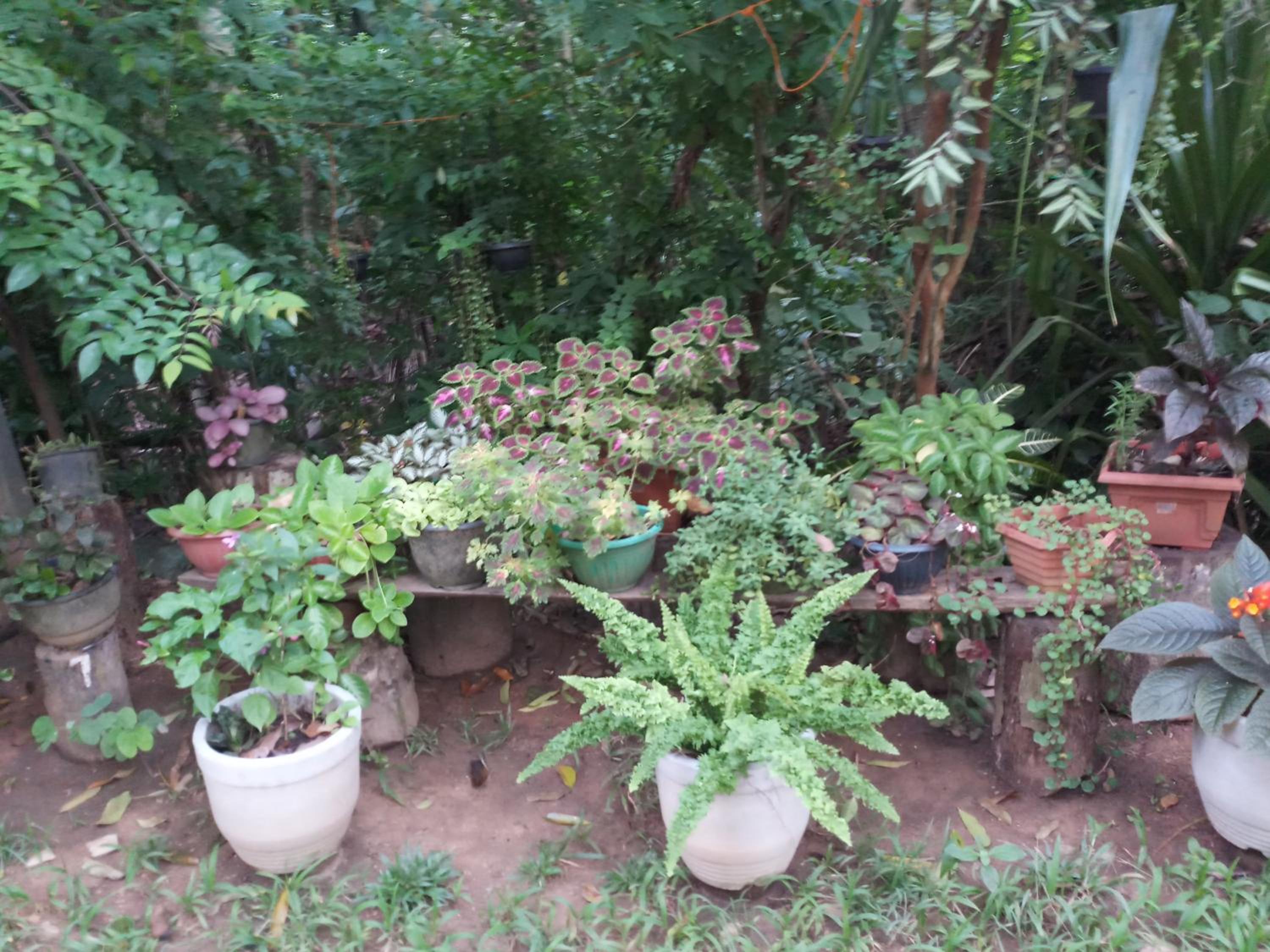 Piumi House