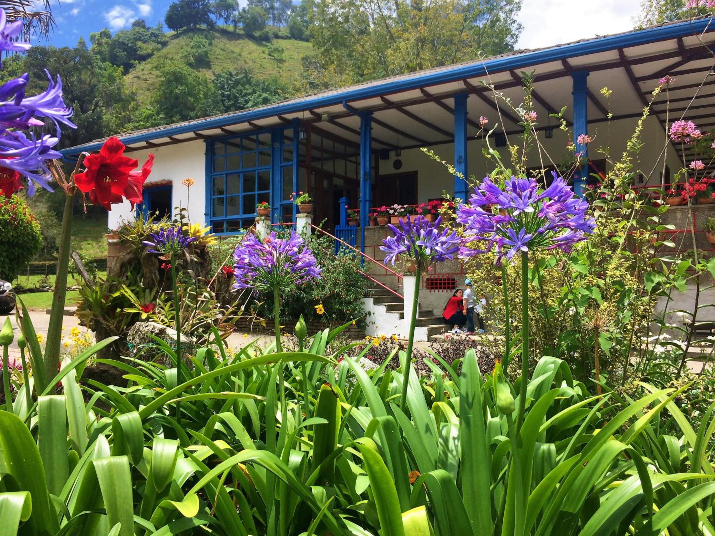 Hotel Reserva Guadalajara - Cocora Valley - Image 1