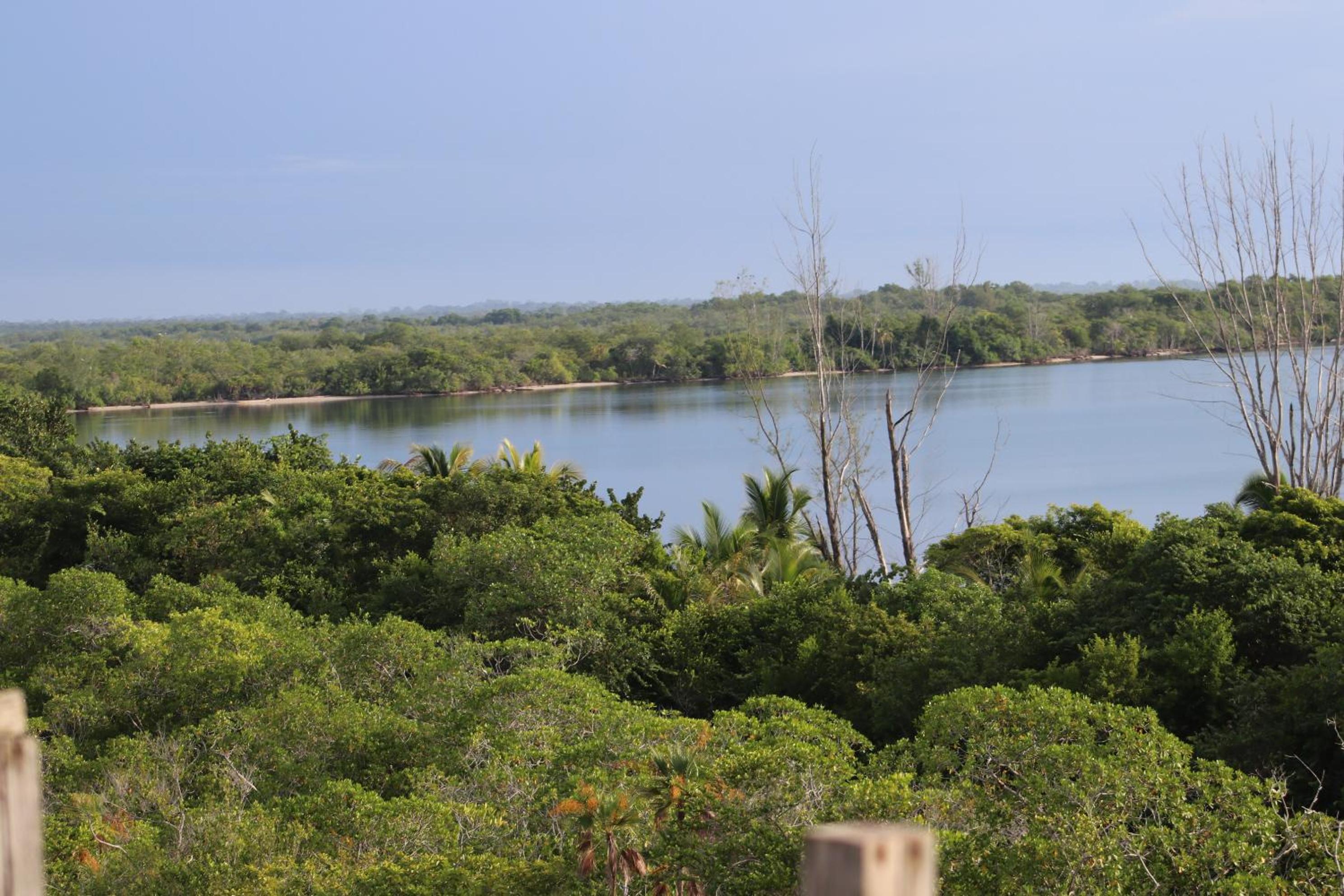 Palmento Grove Garifuna Eco-Cultural & Healing Institute