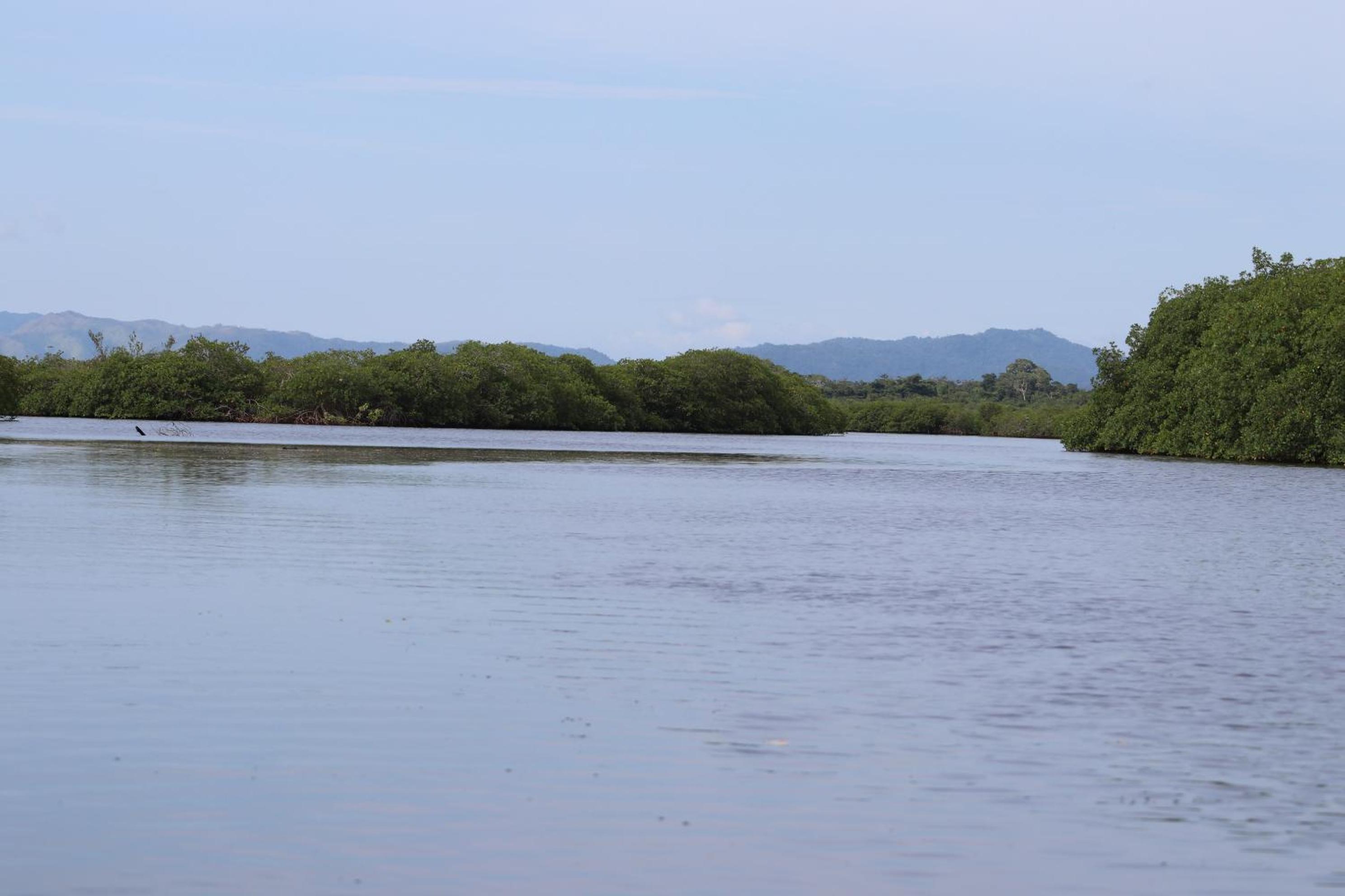 Palmento Grove Garifuna Eco-Cultural & Healing Institute