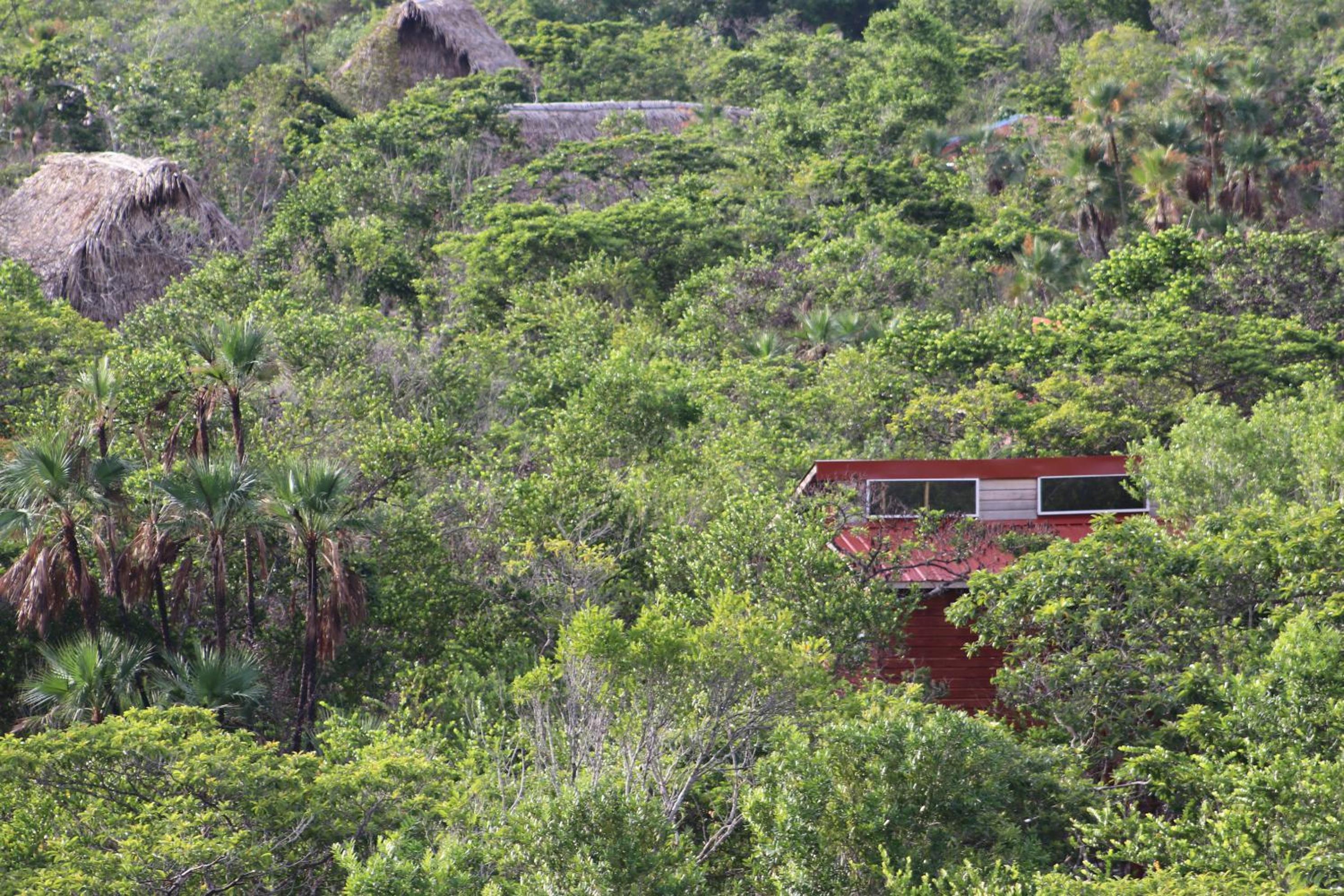 Palmento Grove Garifuna Eco-Cultural & Healing Institute