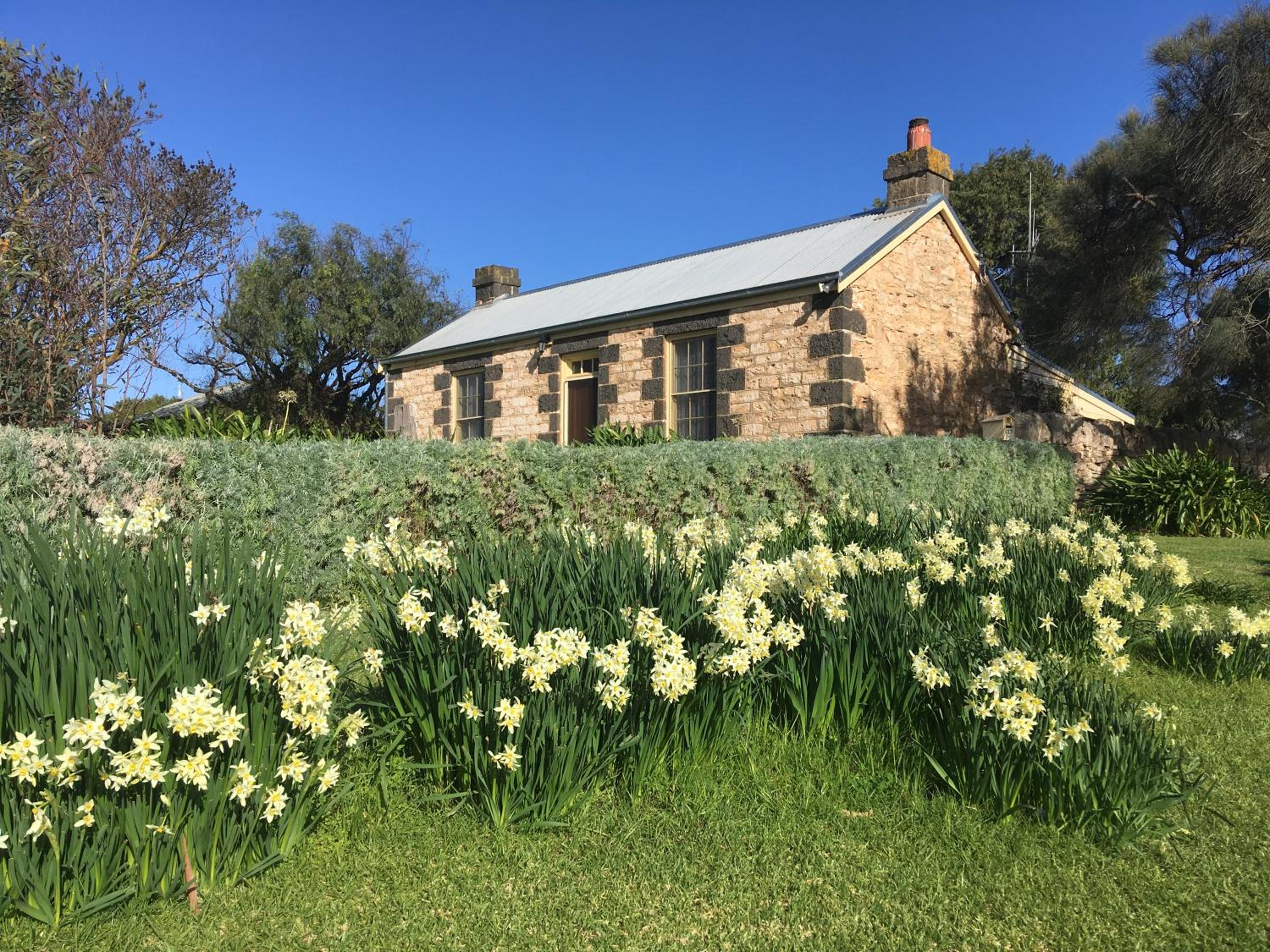 Cherry Plum Cottages