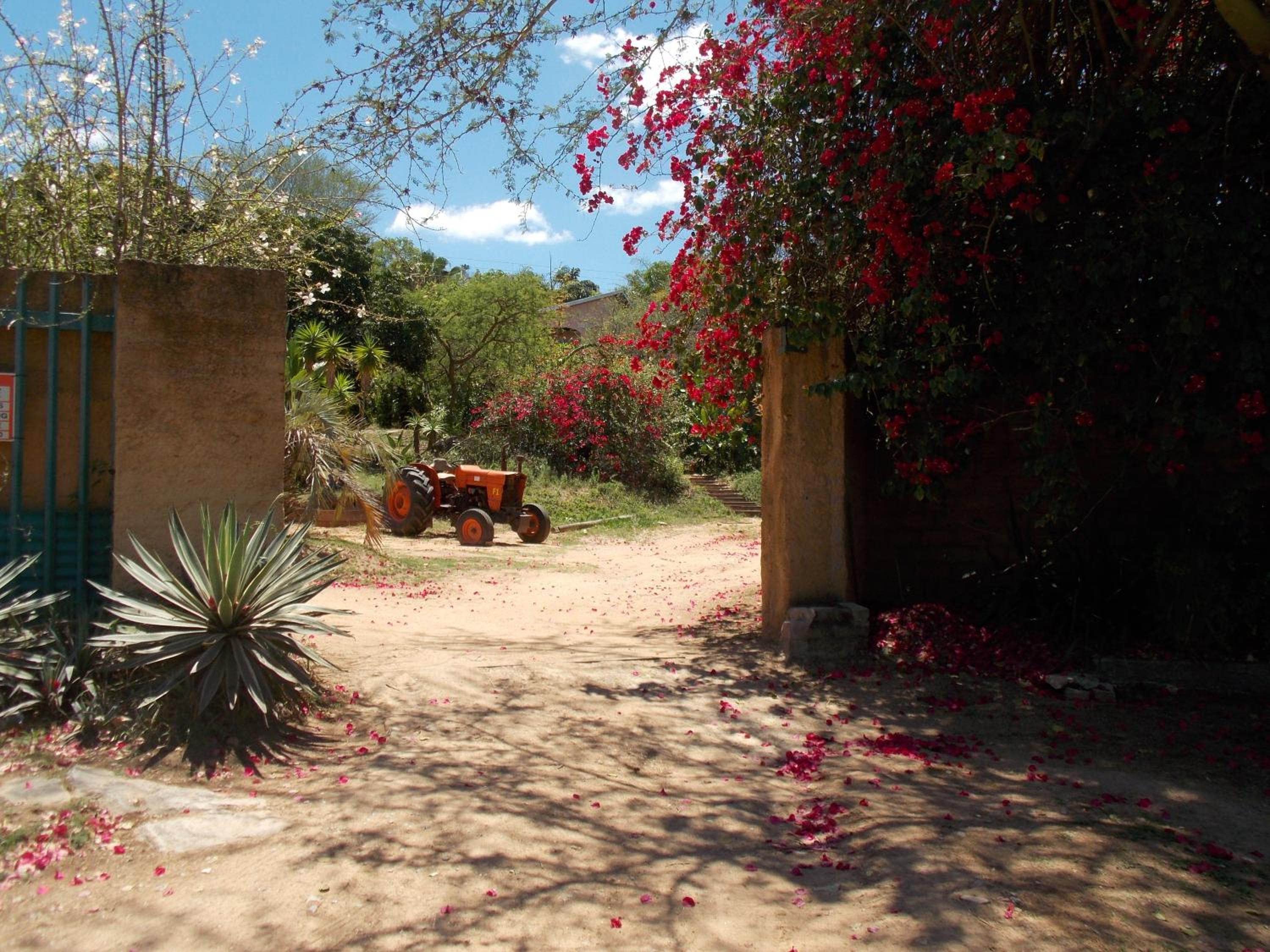 Photo 30