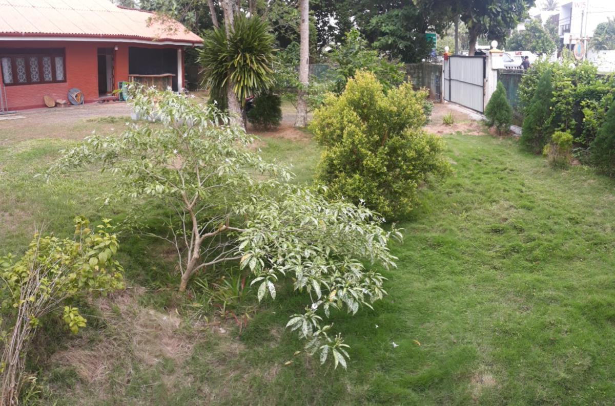 Photo 38