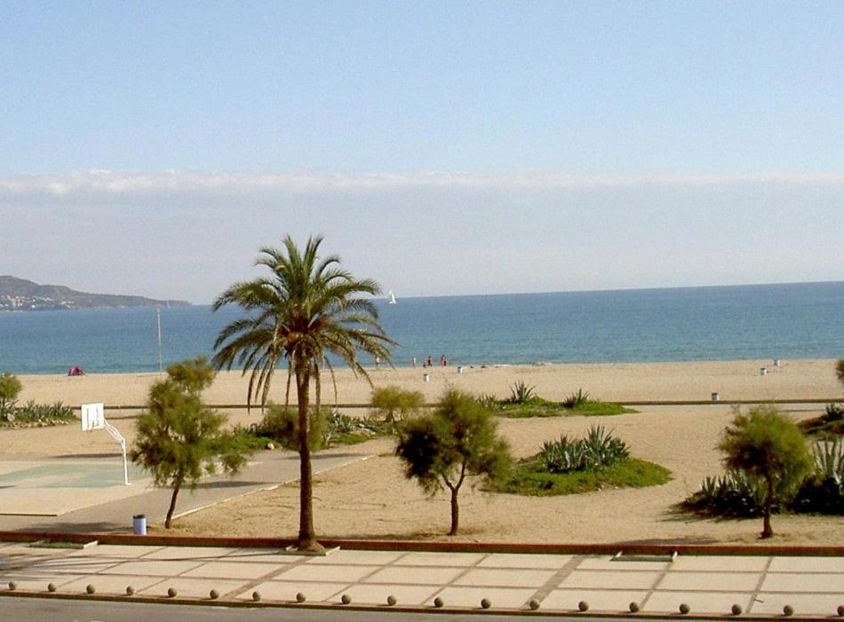 BLAU CEL view 5