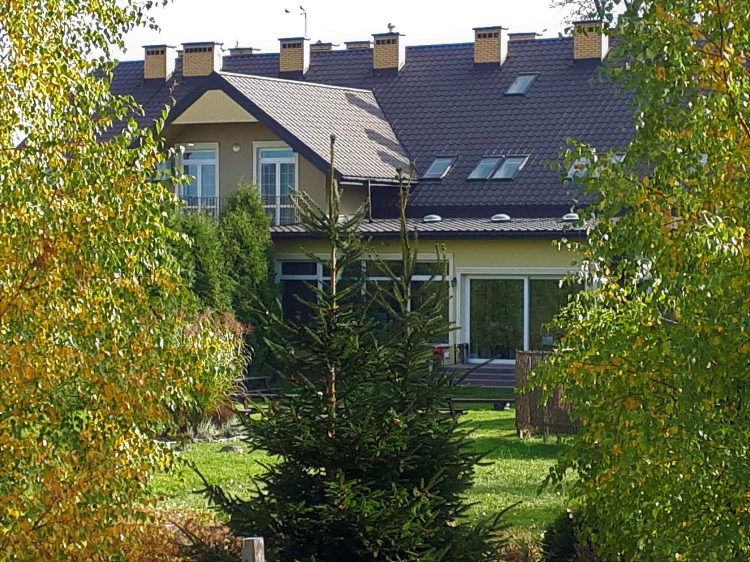 Photo 48
