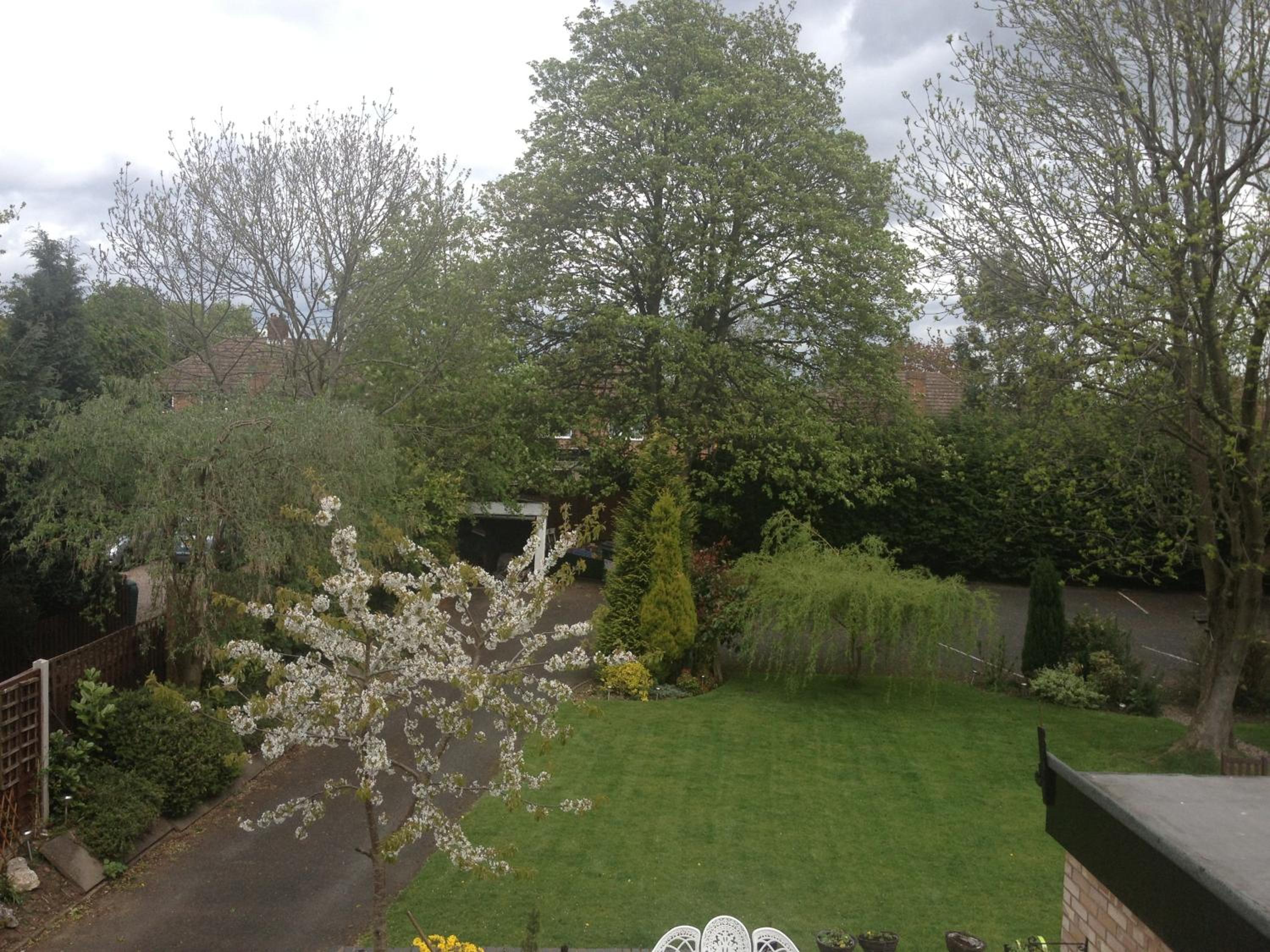 Photo 47