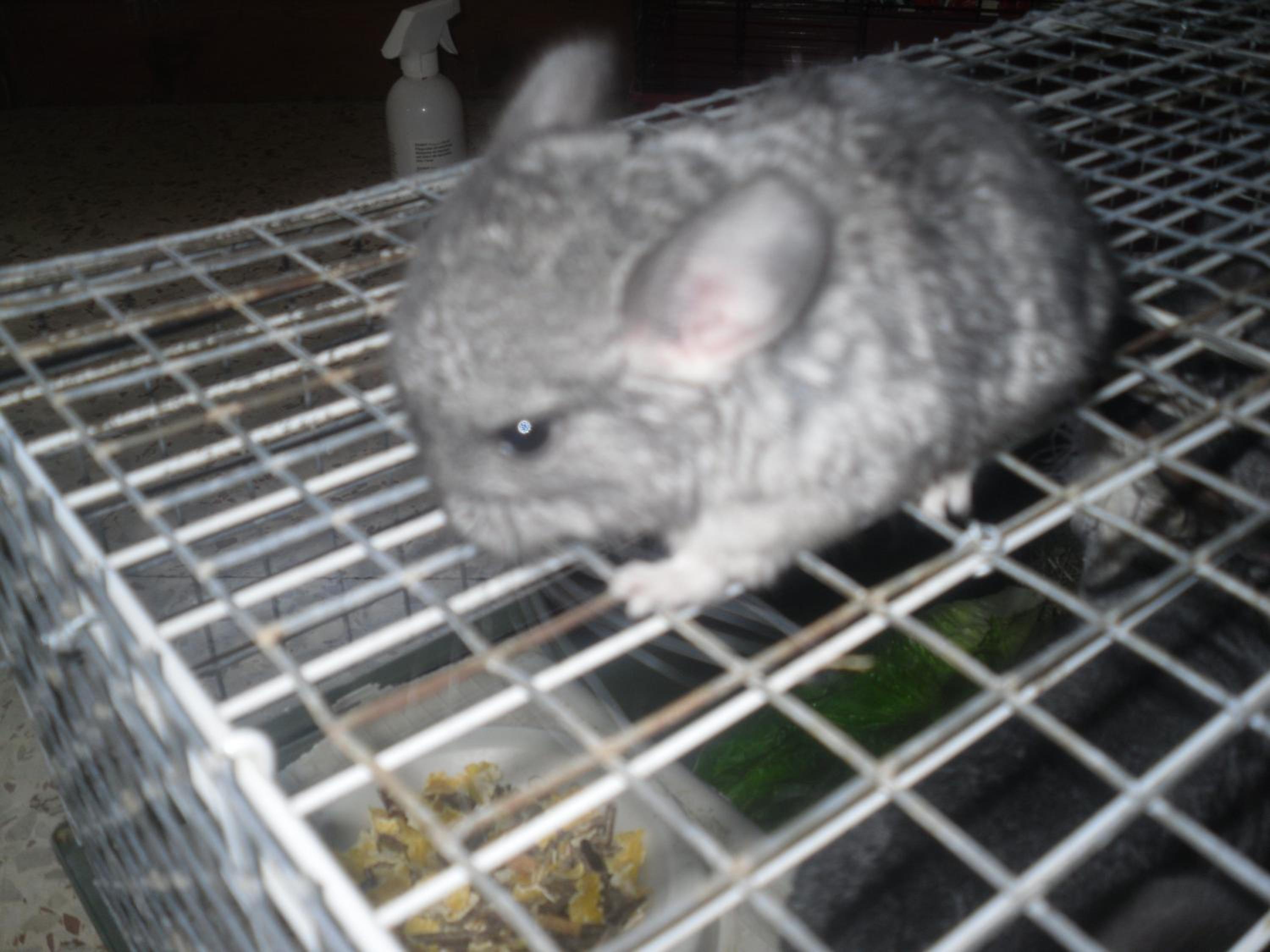 Photo 20